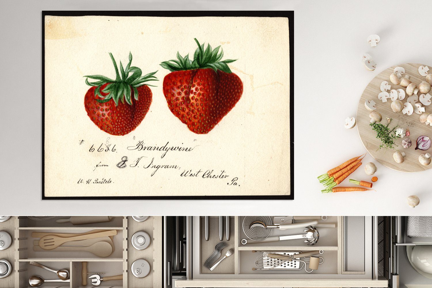 MuchoWow Herdblende-/Abdeckplatte Erdbeeren - Arbeitsfläche Gemälde (1 Deborah von 70x52 Vinyl, Mobile nutzbar, cm, Passmore, tlg), Griscom Ceranfeldabdeckung