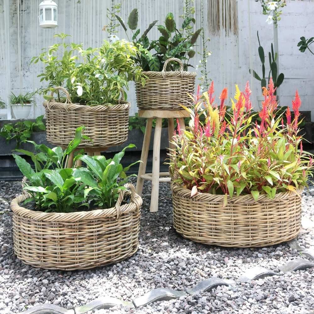 LebensWohnArt Pflanzschale Natur Rattankorb NORDERNEY Kubu günstig online kaufen