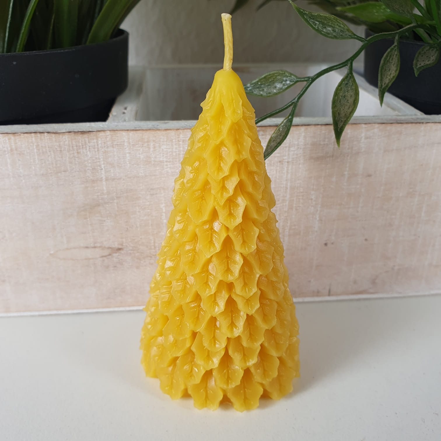 Aspinaworld Formkerze Bienenwachskerze - Tannenbaum Kerze günstig online kaufen