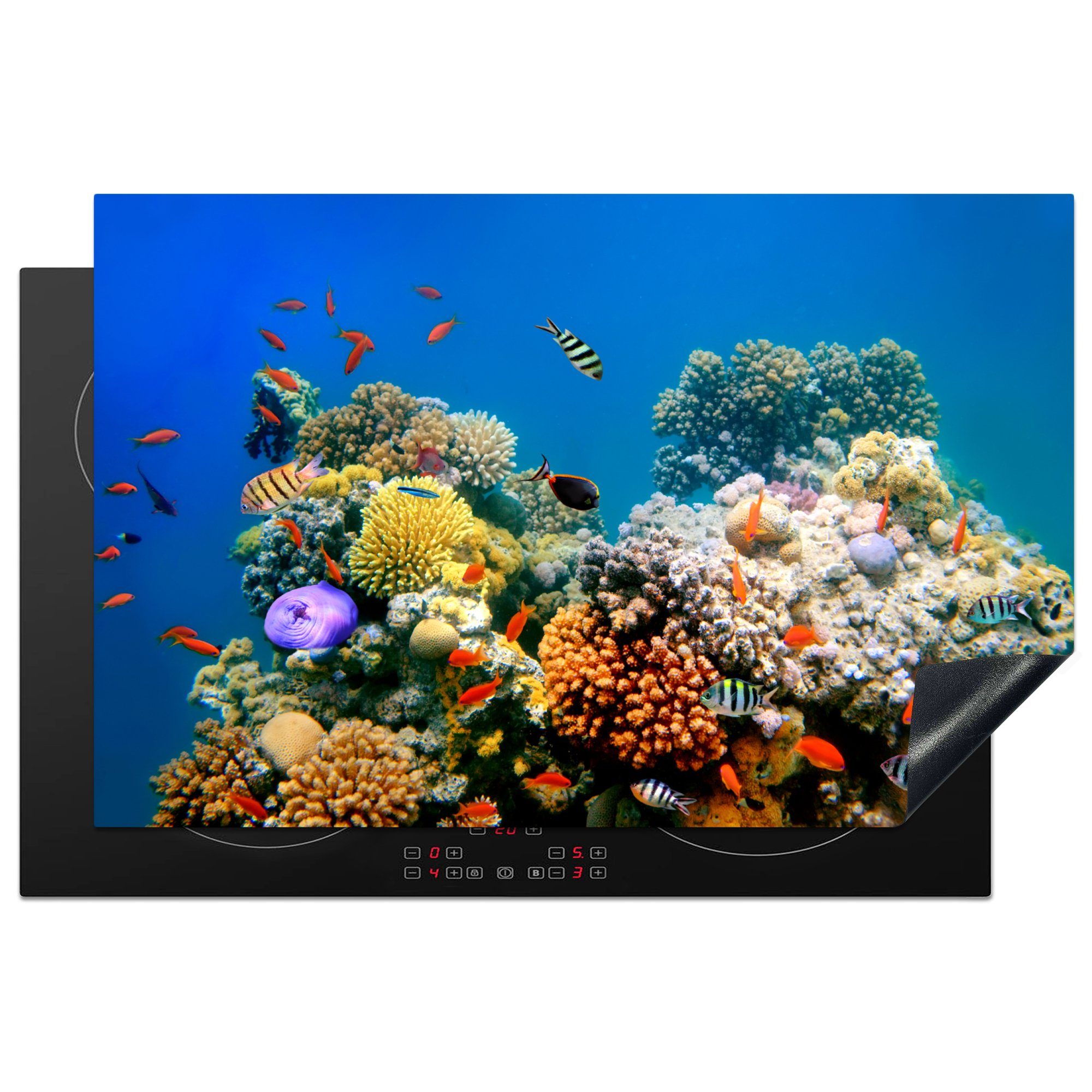 (1 - 81x52 Herdblende-/Abdeckplatte - Korallen, für MuchoWow Schutz Vinyl, Tropisch Fische Induktionskochfeld Ceranfeldabdeckung die cm, küche, tlg),