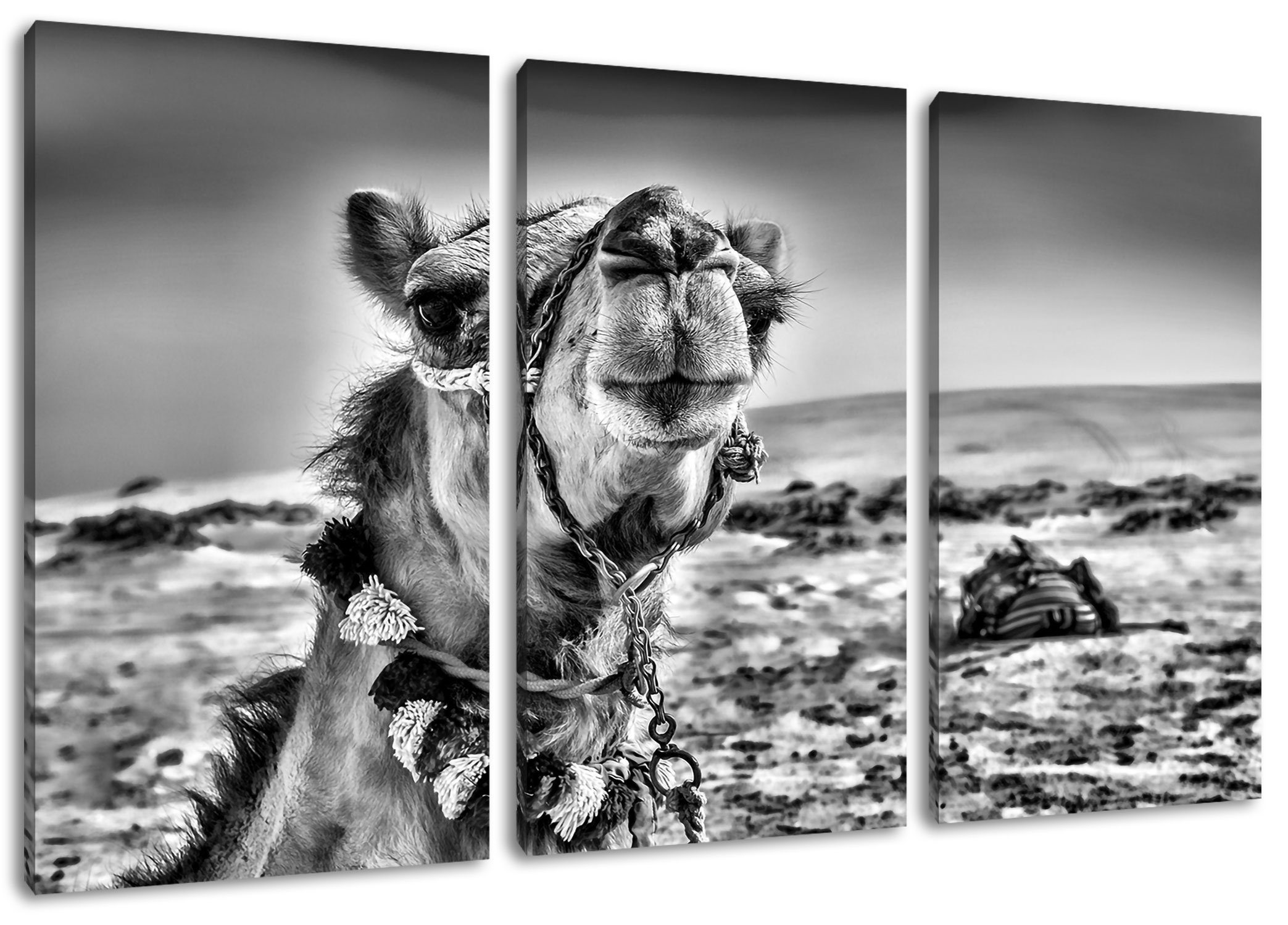 Pixxprint Leinwandbild Lustiges Kamel in Wüste, Lustiges Kamel in Wüste 3Teiler (120x80cm) (1 St), Leinwandbild fertig bespannt, inkl. Zackenaufhänger | Leinwandbilder