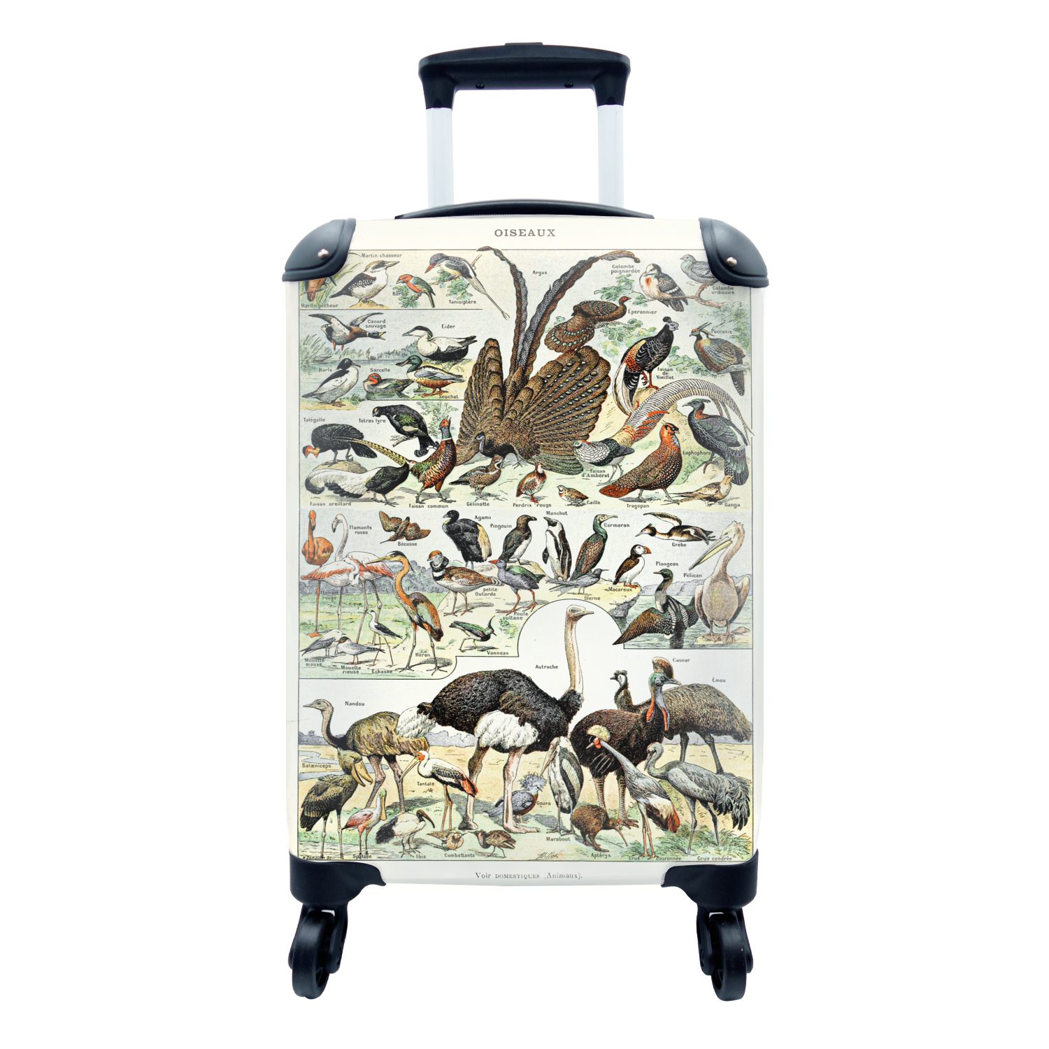 - rollen, - mit Reisetasche Vintage MuchoWow Tiere Reisekoffer Natur - Handgepäckkoffer für 4 - Rollen, Ferien, Trolley, Vogel Kunstwerk, Handgepäck