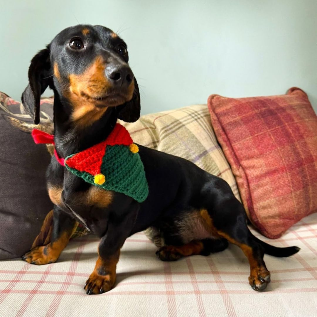 suebidou Hundekostüm Weihnachtsmanntuch für Haustiere Halstuch aus Strick festlicher Look, Strickset weich und bequem, kein Kratzen, anpassbar