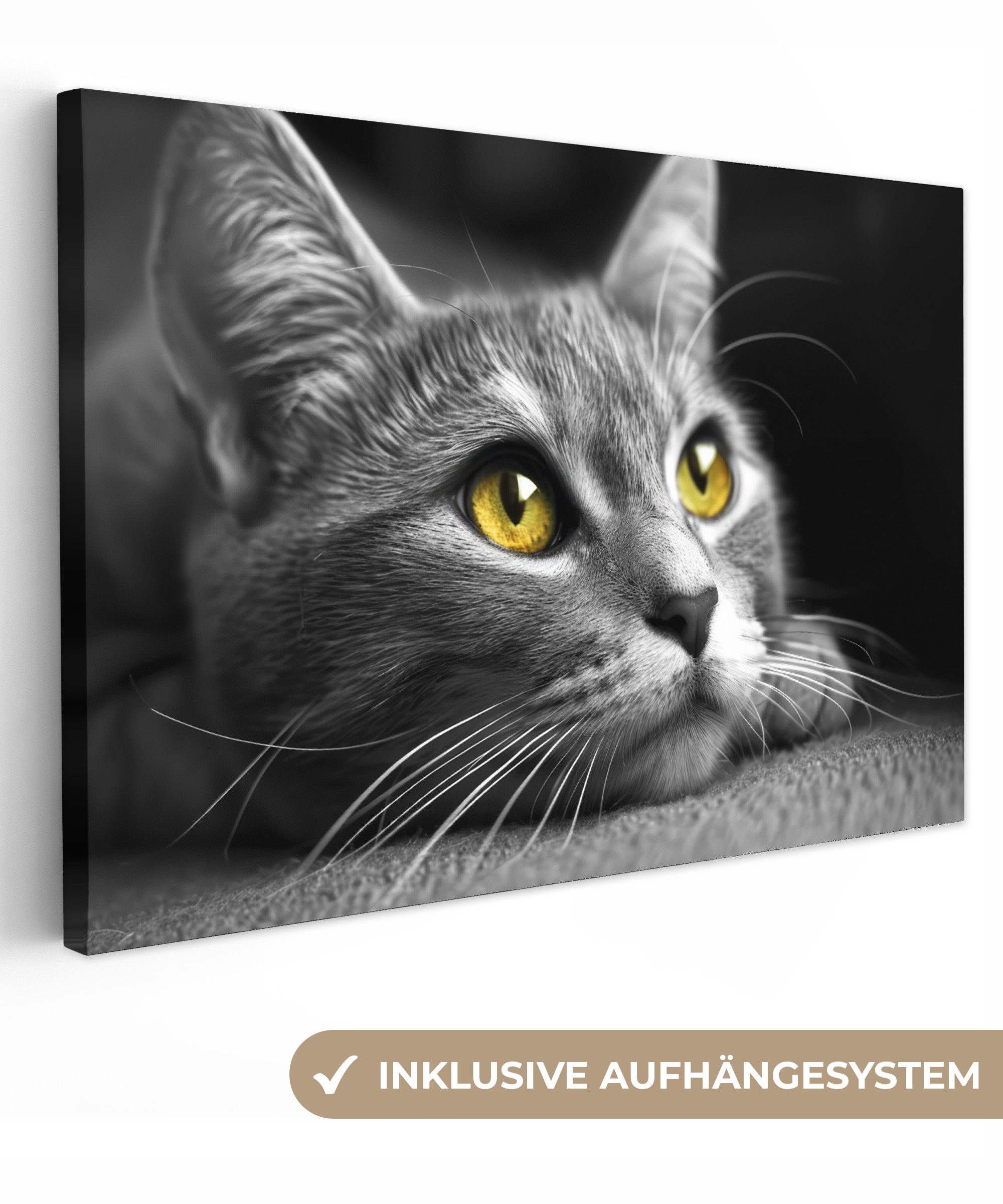 OneMillionCanvasses® Leinwandbild Katze - Schwarz - Weiß - Tiere - Natur, (1 St), Leinwände Wanddeko Wohnzimmer Schlafzimmer 60x40 cm