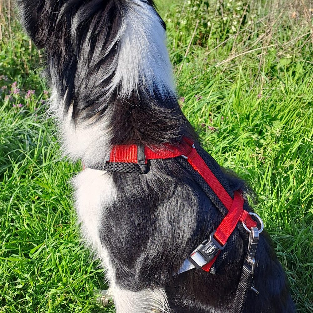 Nobby Hunde-Geschirr "DAILY WALK COMFORT"