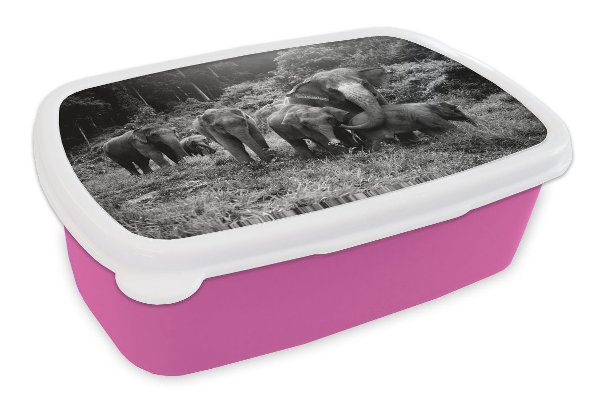 MuchoWow Lunchbox Elefanten aus dem Wald - schwarz und weiß, Kunststoff, (2-tlg), Brotbox für Erwachsene, Brotdose Kinder, Snackbox, Mädchen, Kunststoff rosa