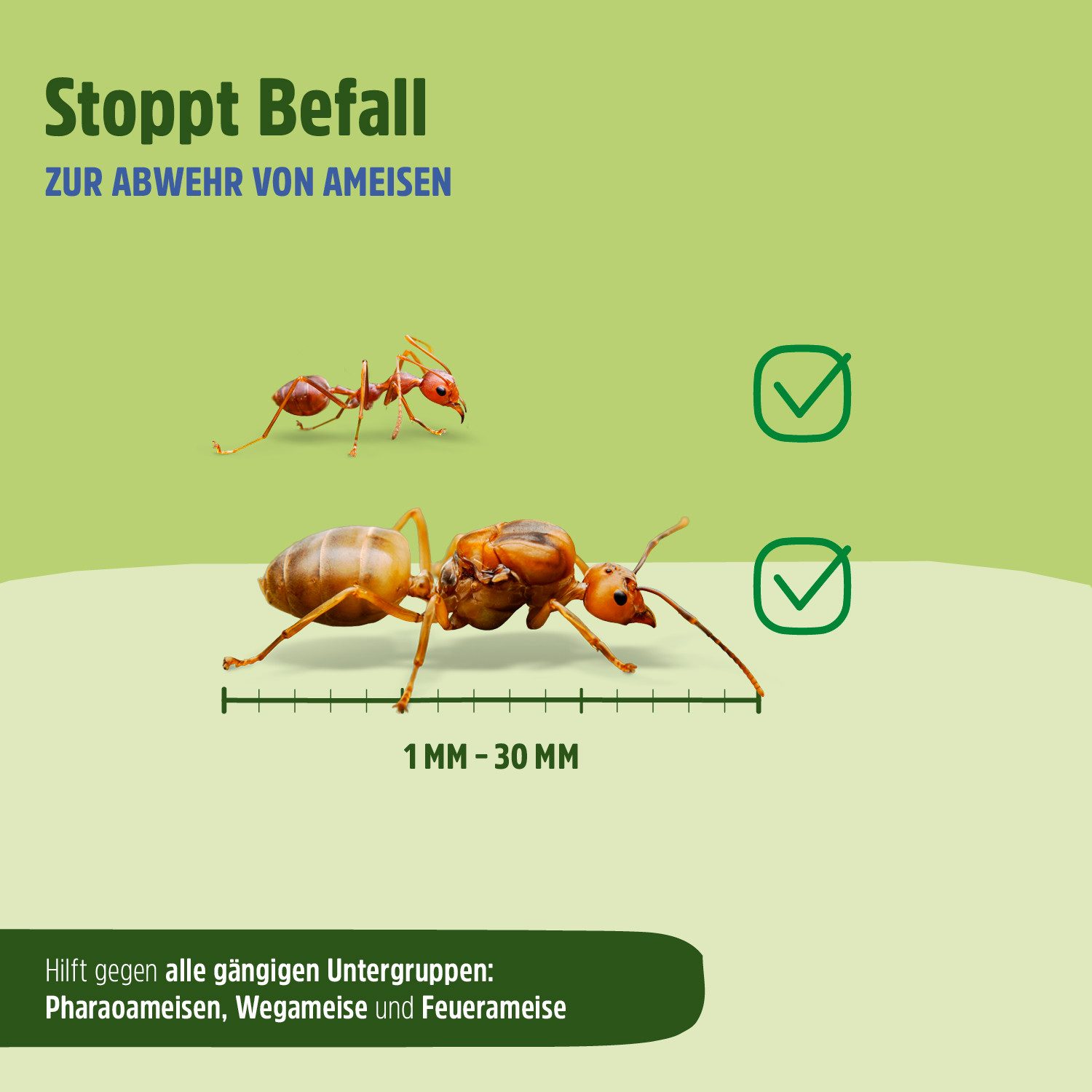Futura-Shop Insektenspray Ameisen Spray, Ameisen Mittel mit Langzeitwirkung, 500 ml