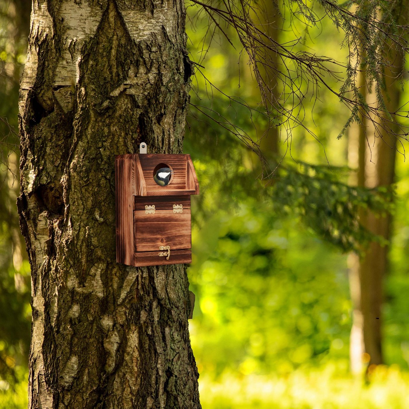 Thumbnail - relaxdays Vogelhaus Nistkasten mit Reinigungsklappe