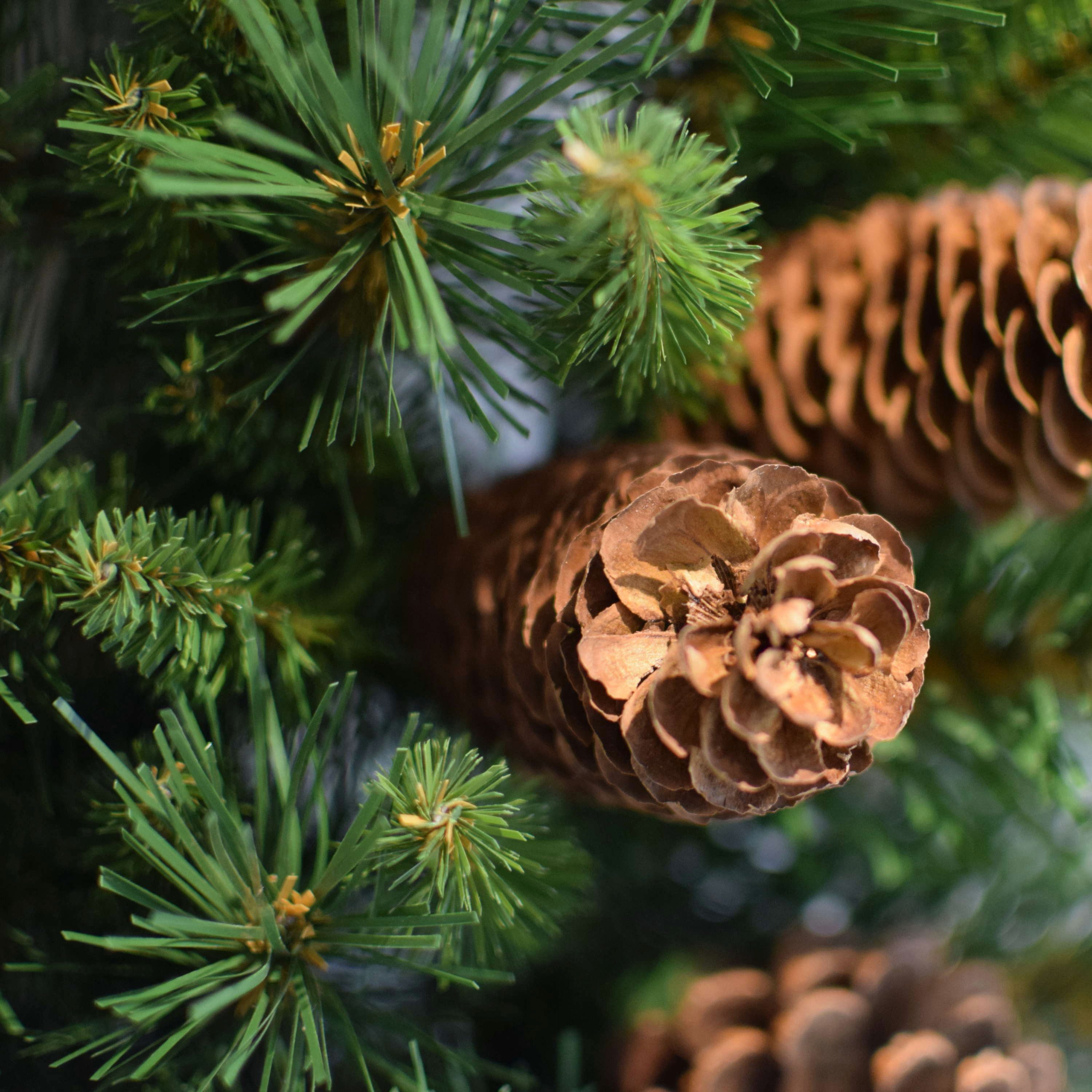 artplants Adventskranz Kunst Tannenkranz Alfred, crossdoor, schwer brennbar, Ø45cm