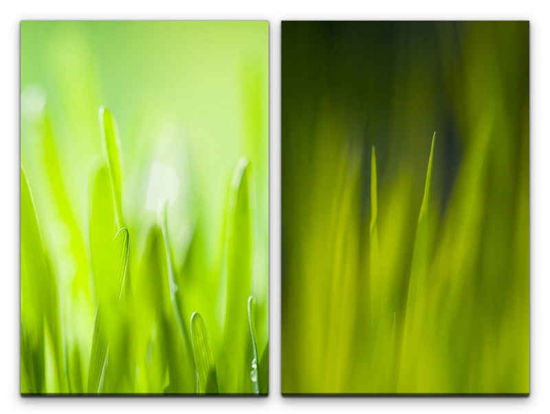 Sinus Art Leinwandbild 2 Bilder je 60x90cm Gras Grashalme Wiese Grün Frisch Hellgrün Makrofotografie