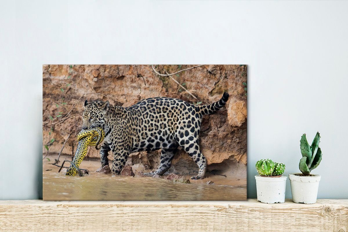 Wandbild Wasser, St), Aufhängefertig, cm 30x20 Leinwandbilder, Jaguar OneMillionCanvasses® Schlange - - Wanddeko, (1 Leinwandbild