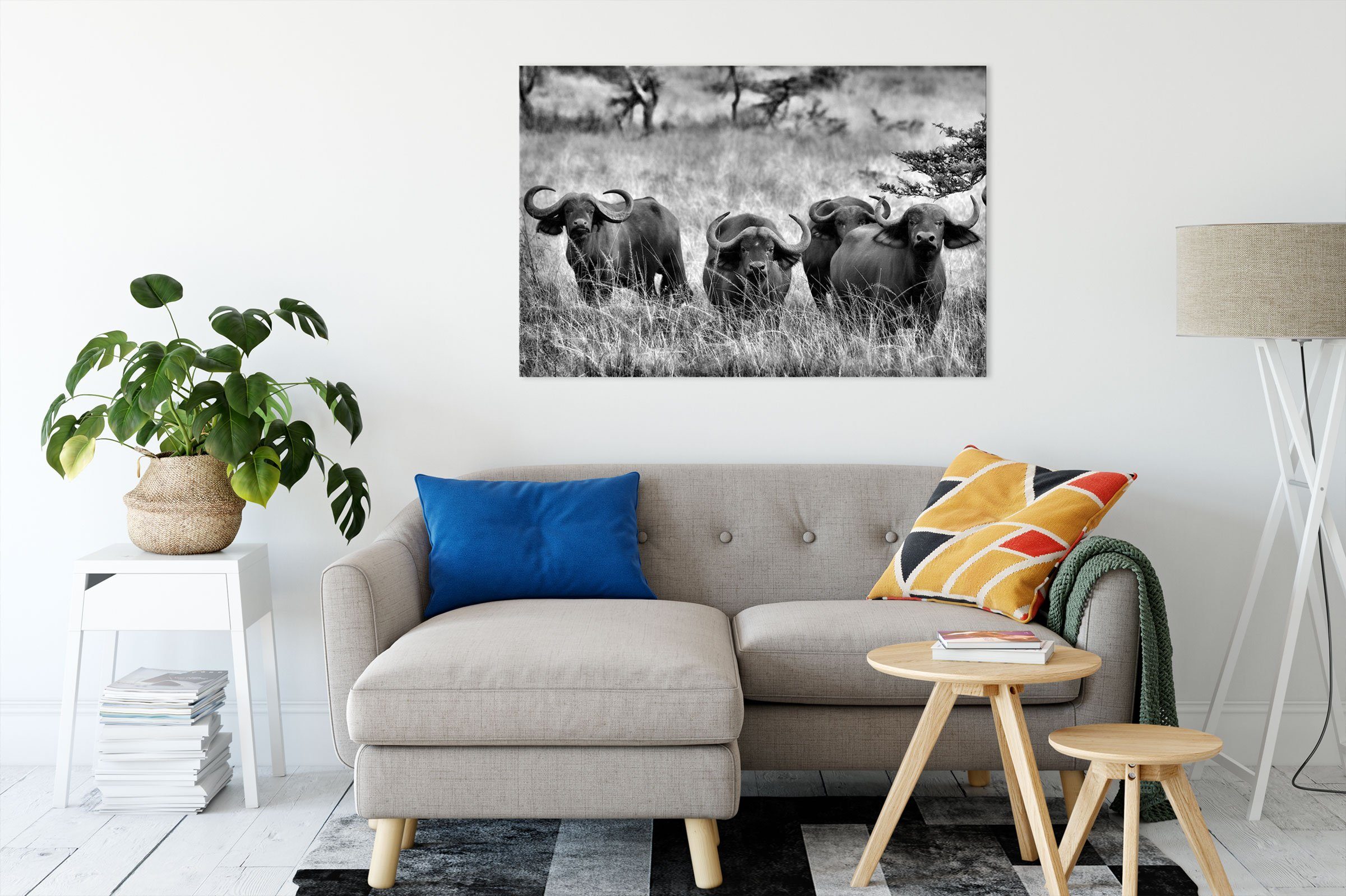 Pixxprint Leinwandbild wachsame Kaffernbüffel bespannt, Herde Zackenaufhänger wachsame inkl. Kaffernbüffel St), fertig Leinwandbild (1 Herde