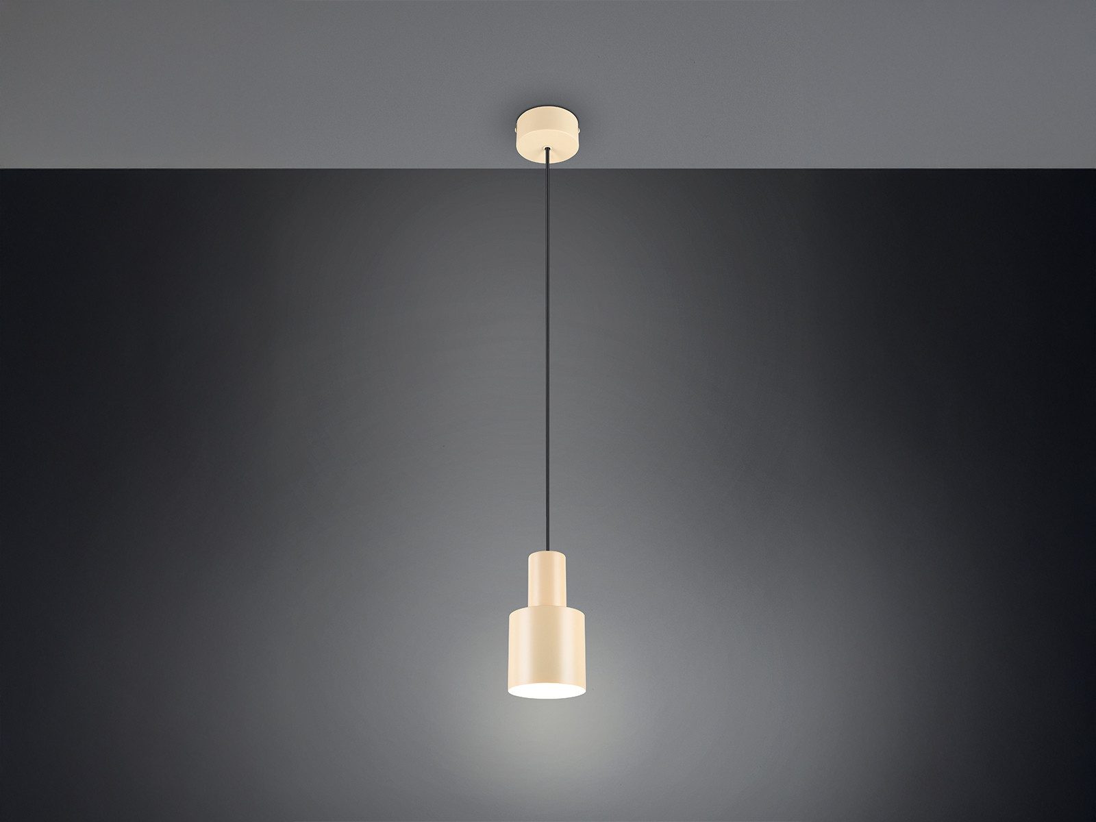 TRIO Leuchten LED Pendelleuchte, Dimmfunktion, LED günstig online kaufen