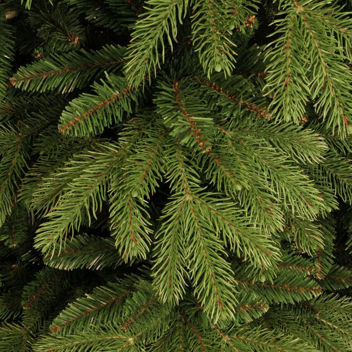 Black Box Trees Künstlicher Weihnachtsbaum Black Box Trees Brampton Weihnachtsbaum gruen TIPS 684 - h120xd91cm