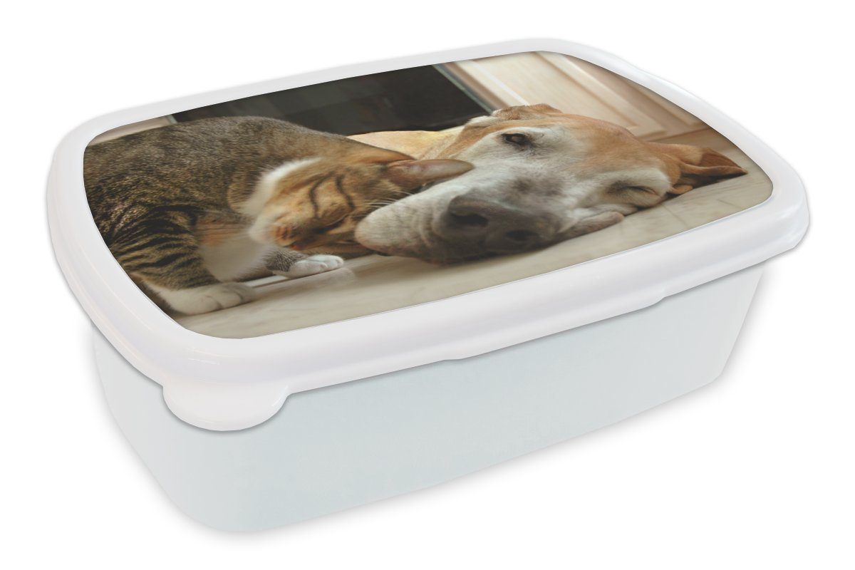 MuchoWow Lunchbox Katze - Hund - Tiere, Kunststoff, (2-tlg), Brotbox für Kinder und Erwachsene, Brotdose, für Jungs und Mädchen weiß