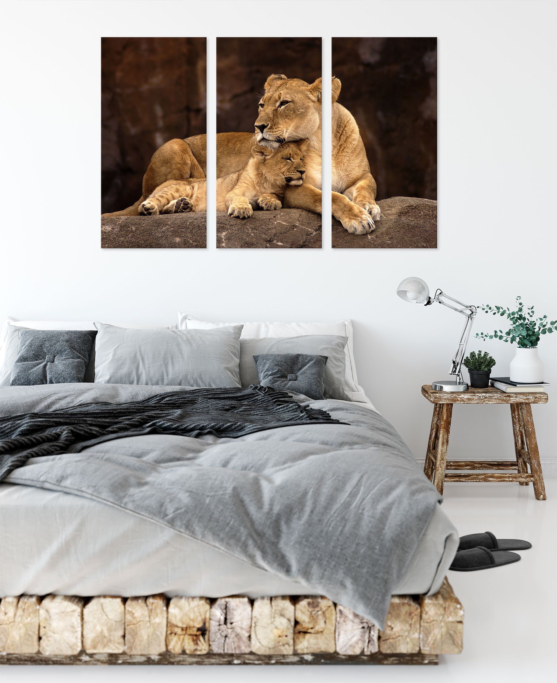 Leinwandbild Löwenjungen bespannt, inkl. fertig mit mit Löwe Löwenjungen, St), (1 Löwe Pixxprint Zackenaufhänger (120x80cm) 3Teiler Leinwandbild