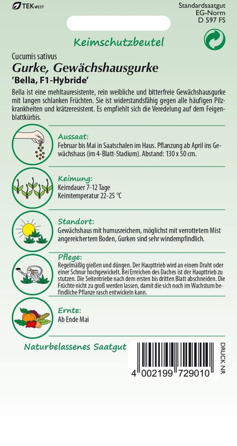 SAMEN PFANN Gemüsesamen Gewächshausgurke, Bella F1 - Gurken-Samen Saatgut S günstig online kaufen