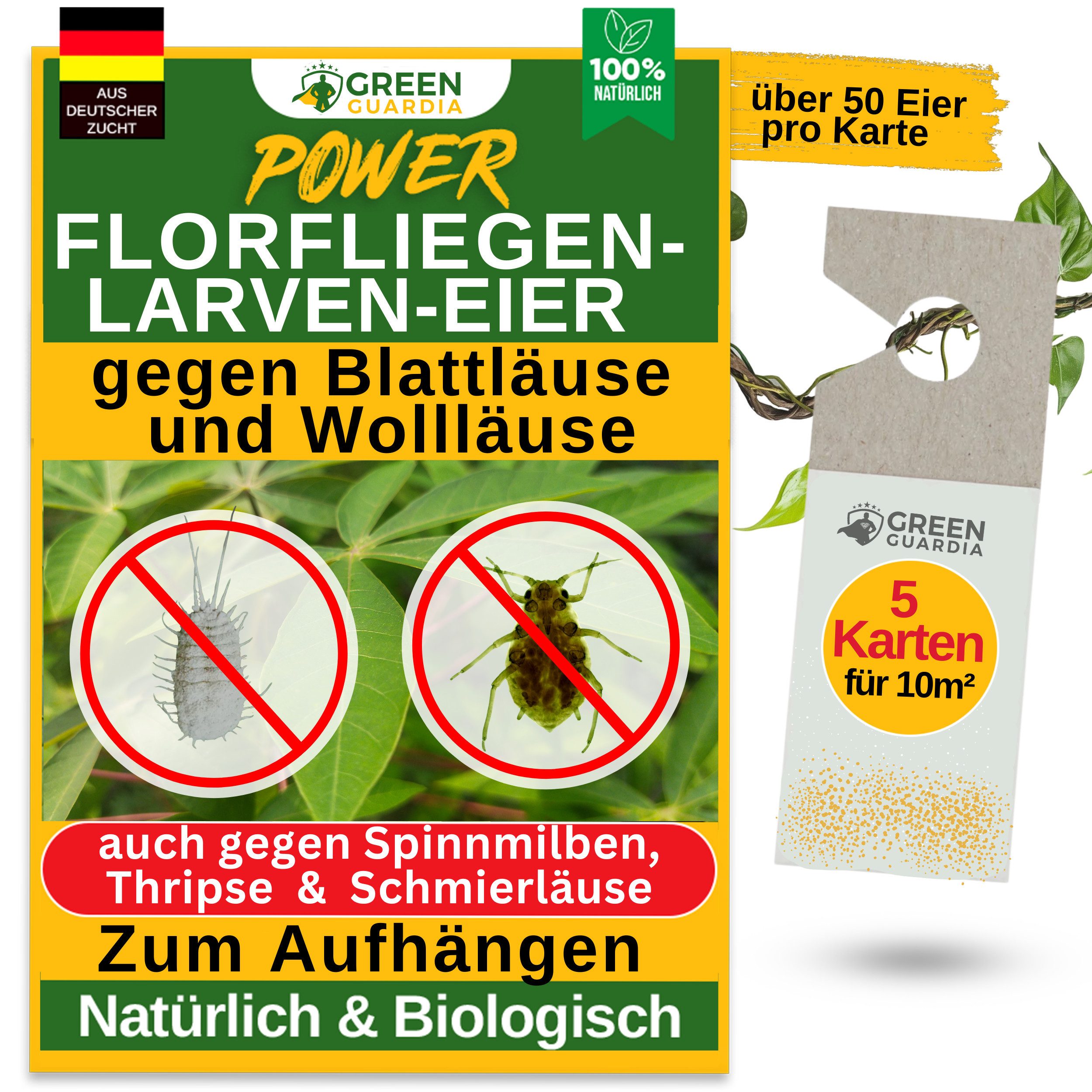 Insektenvernichter Florfliegenlarven-Eier gegen Blattläuse und Wollläuse - ohne Chemie