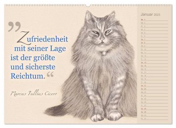 CALVENDO Wandkalender Von Katzen lernen (Premium, hochwertiger DIN A2 Wandkalender 2023, Kunstdruck in Hochglanz)