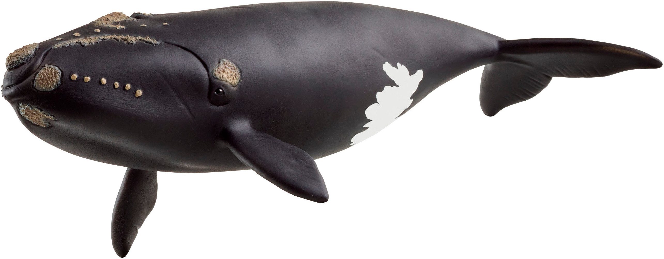 Schleich® Spielfigur WILD LIFE, Nordatlantischer Glattwal (14878)