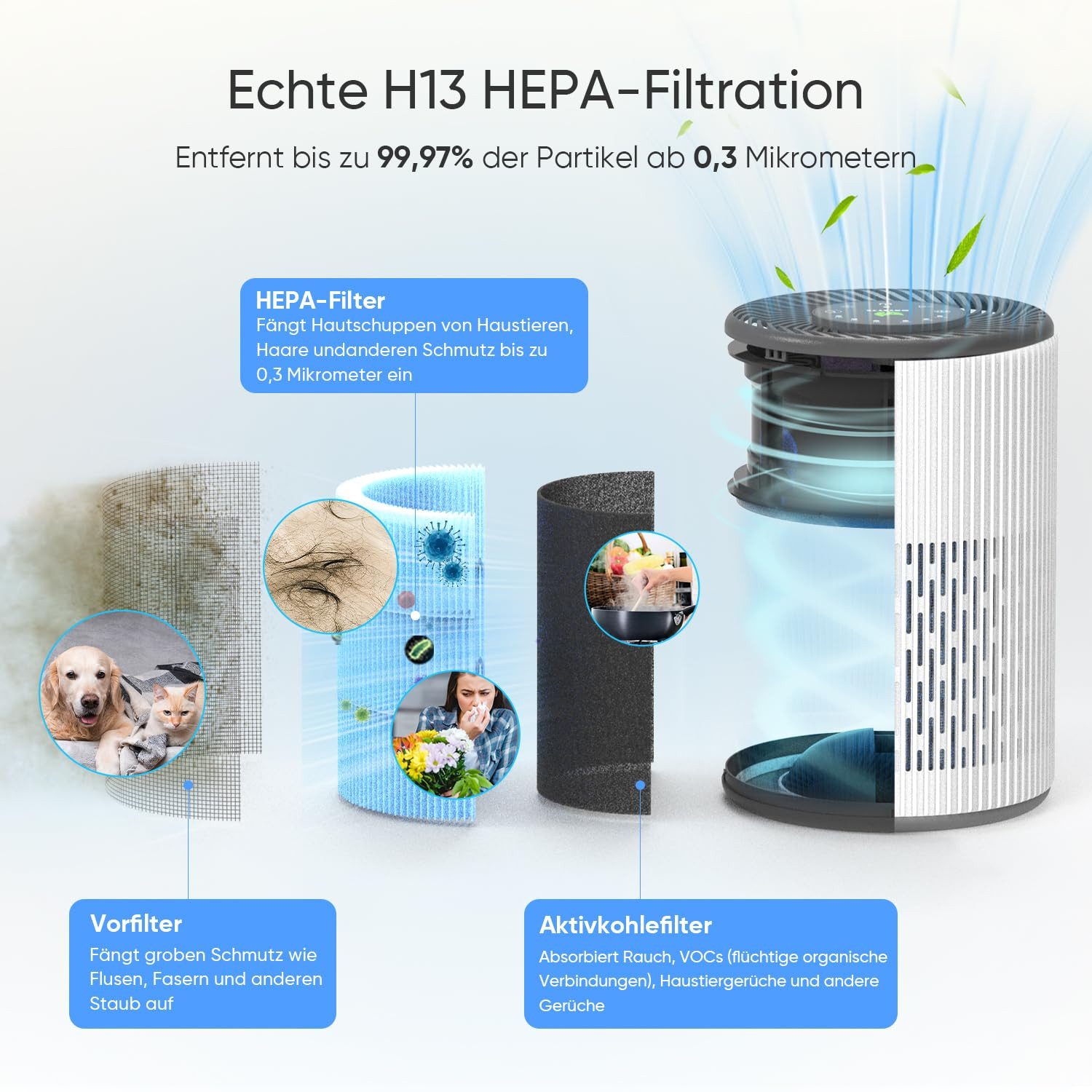 DAYETTE Luftreiniger Tragbarer für Allergiker mit Duftschwamm & blauem Nachtlicht Timer, für 40 m² Räume, Ruhemodus (20 dB), HEPA-Luftfilter gegen Schimmel Staub Pollen Gerüche