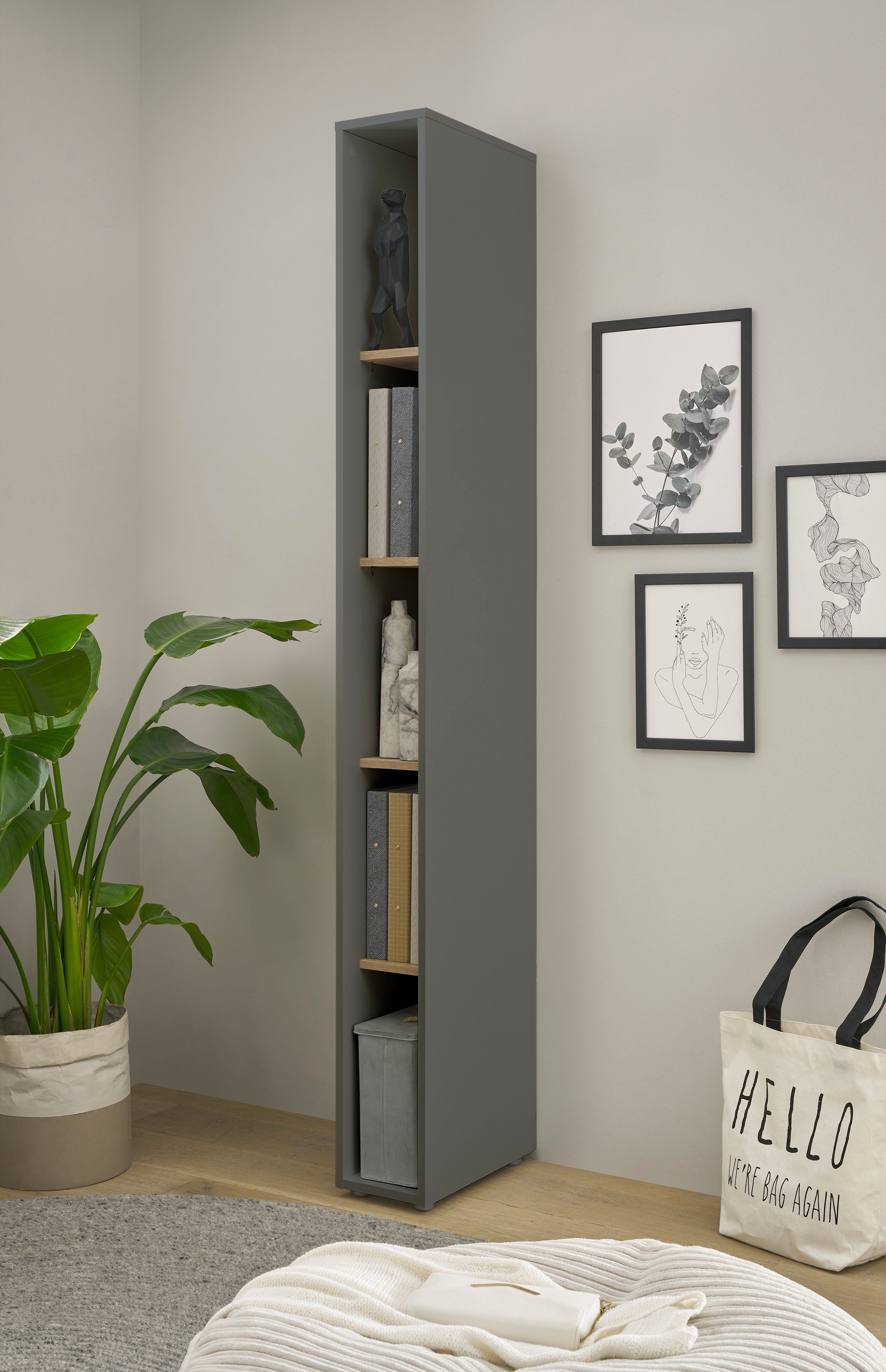 INOSIGN Aktenregal CiTY/GiRON günstig online kaufen