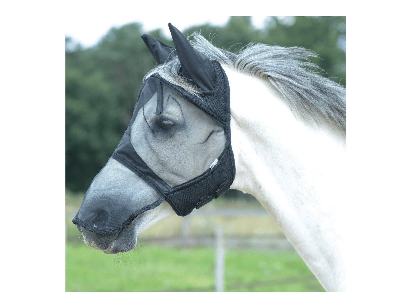 BUSSE Fliegenmasken Fliegenmaske Fly Cover Pro Gap II von Busse