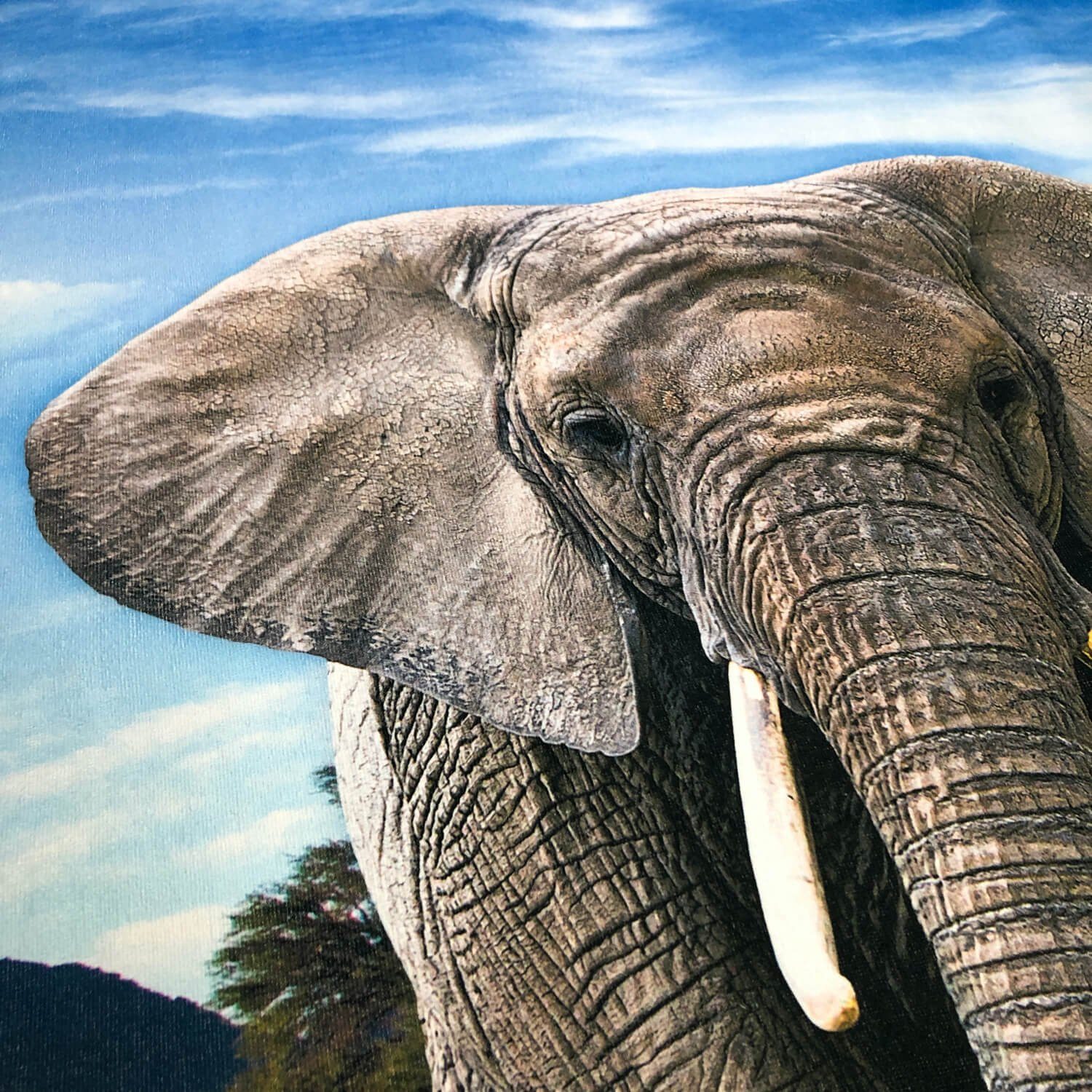 ESPiCO Strandtuch Elefant, Frottee-Velour (1-St), Safari, Wildnis, Tierwelt