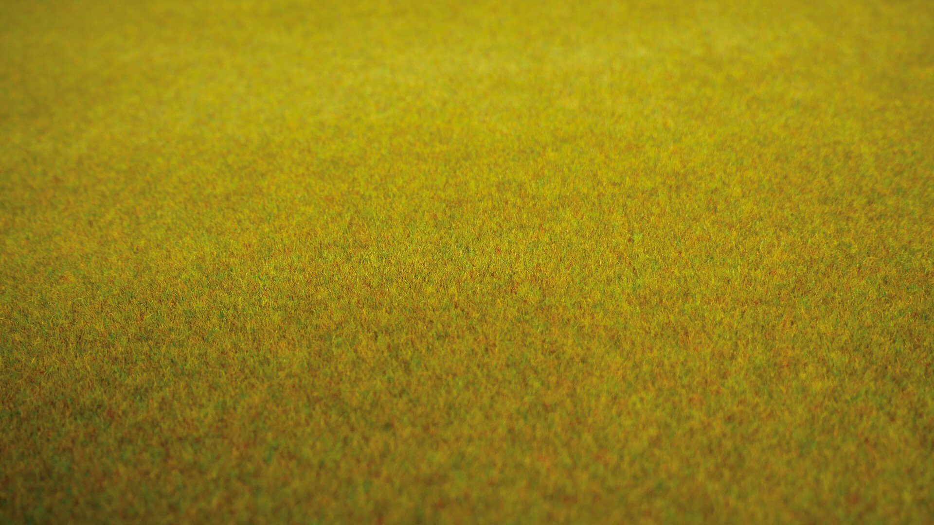 NOCH Modelleisenbahn-Geländematte Grasmatte „Sommerwiese“, mit Modellbau Gras, 120 x, Wiesenmatte