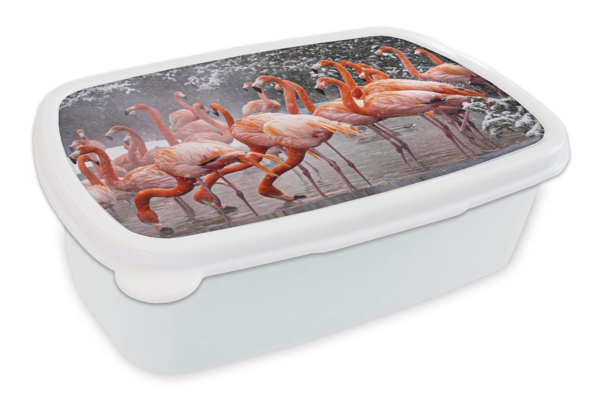 MuchoWow Lunchbox Flamingo - Schnee - Wasser, Kunststoff, (2-tlg), Brotbox für Kinder und Erwachsene, Brotdose, für Jungs und Mädchen weiß