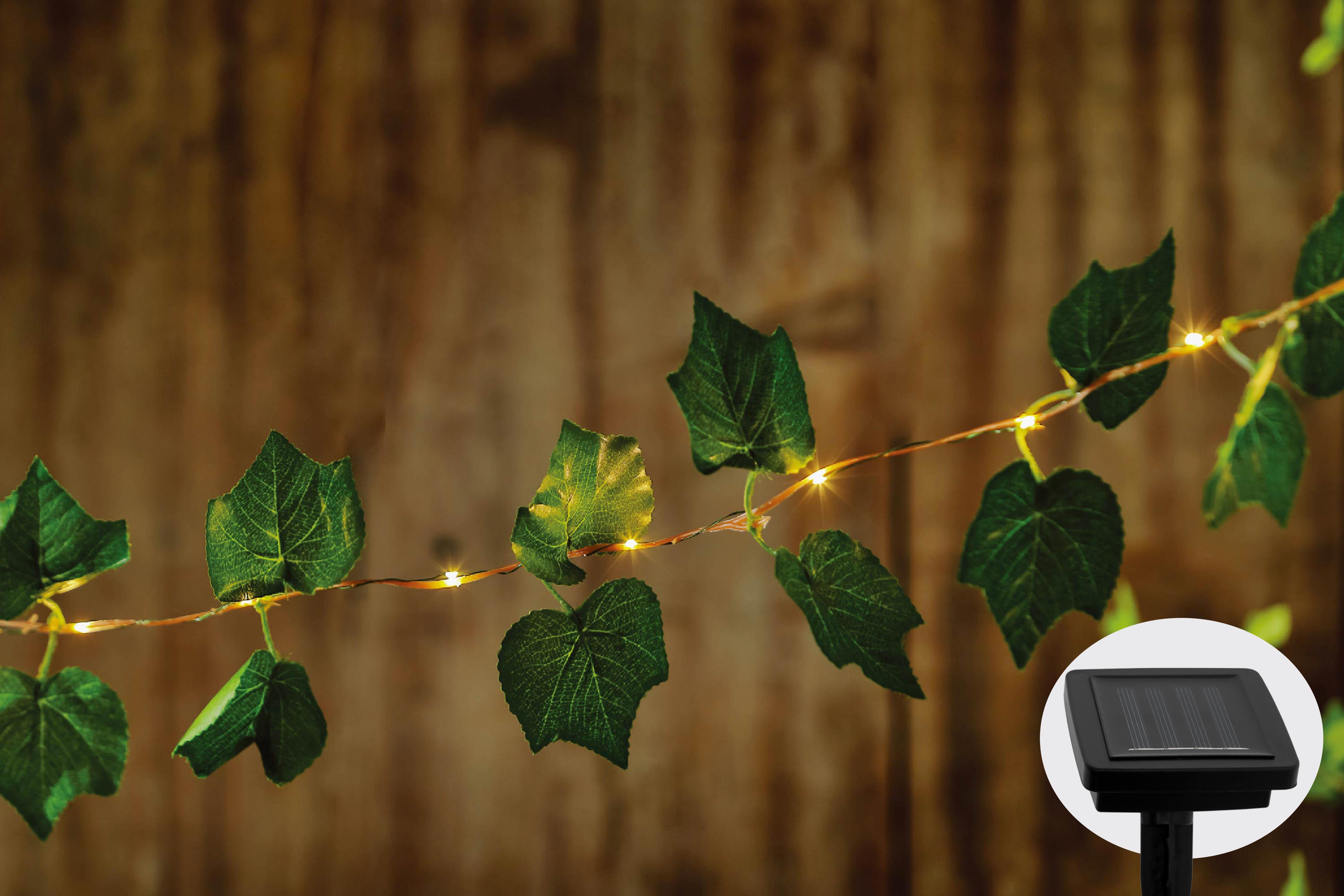 IC Gardenworld LEDLichterkette Solar Deko Lichterkette Kunstefeu mit