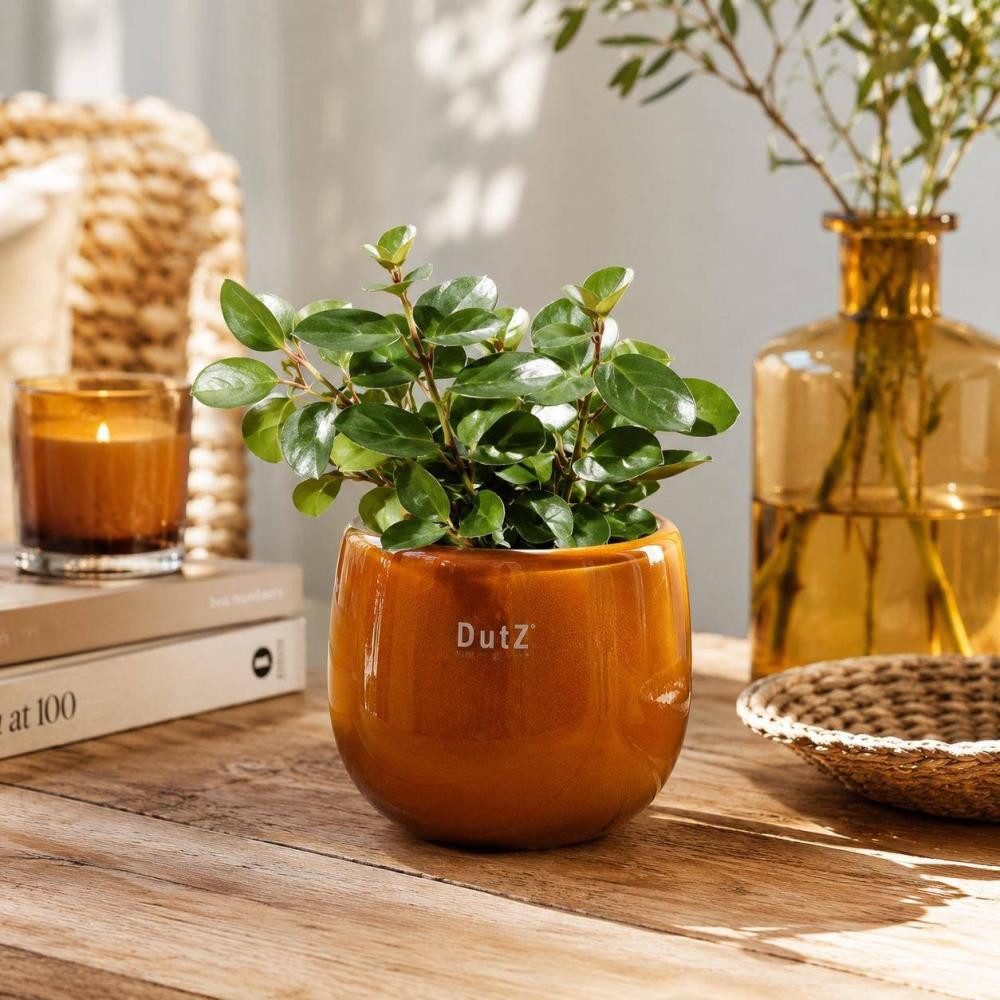 DutZ Dekovase Pot von DutZ