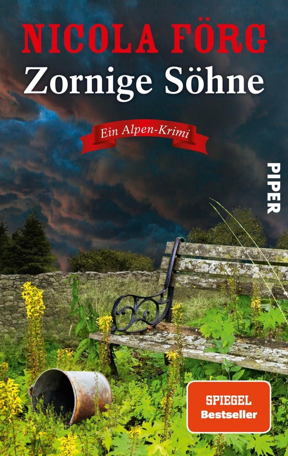 Zornige Söhne / Nicola Förg