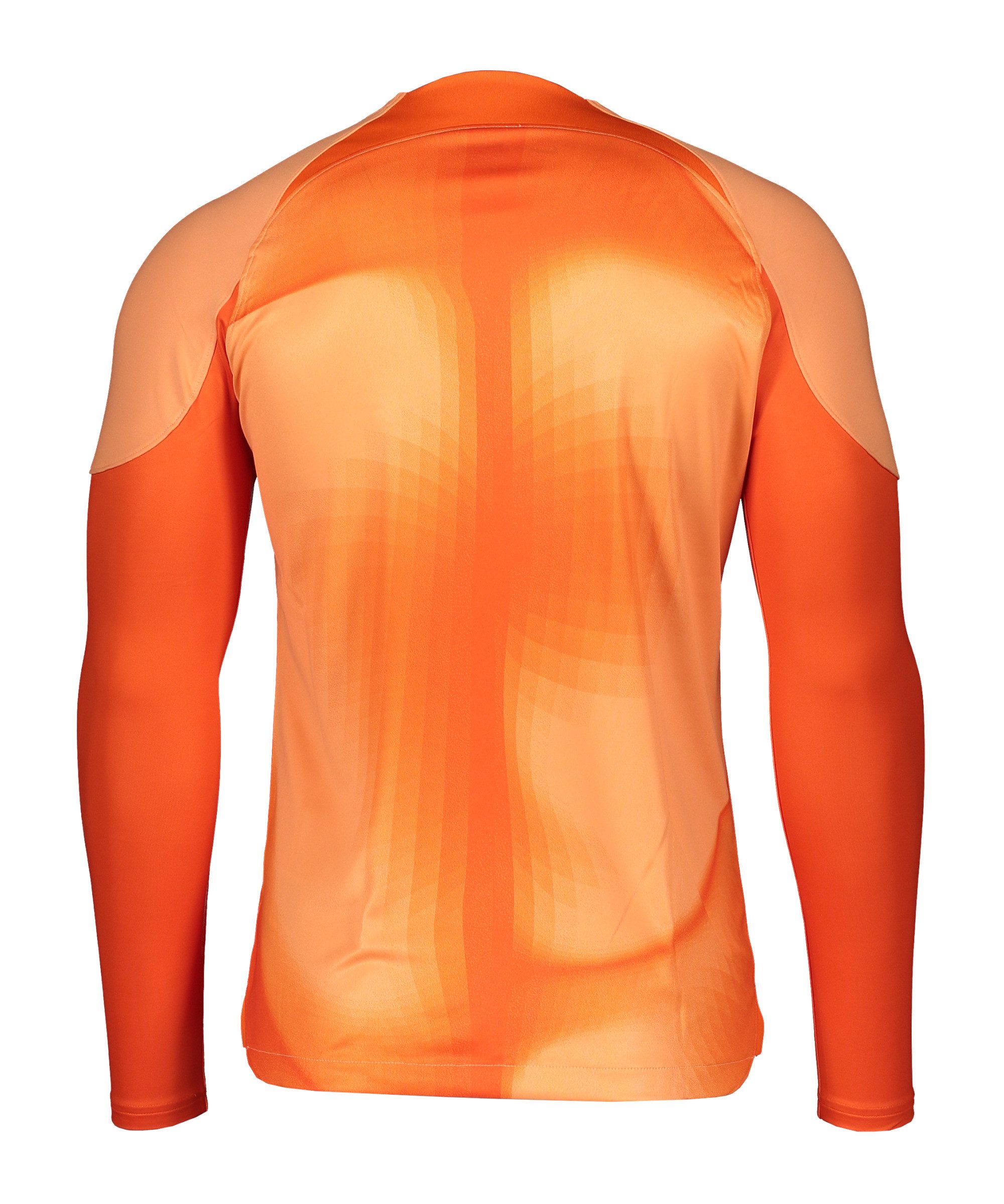Nike Fußballtrikot Gardien IV Torwarttrikot langarm Teamsport