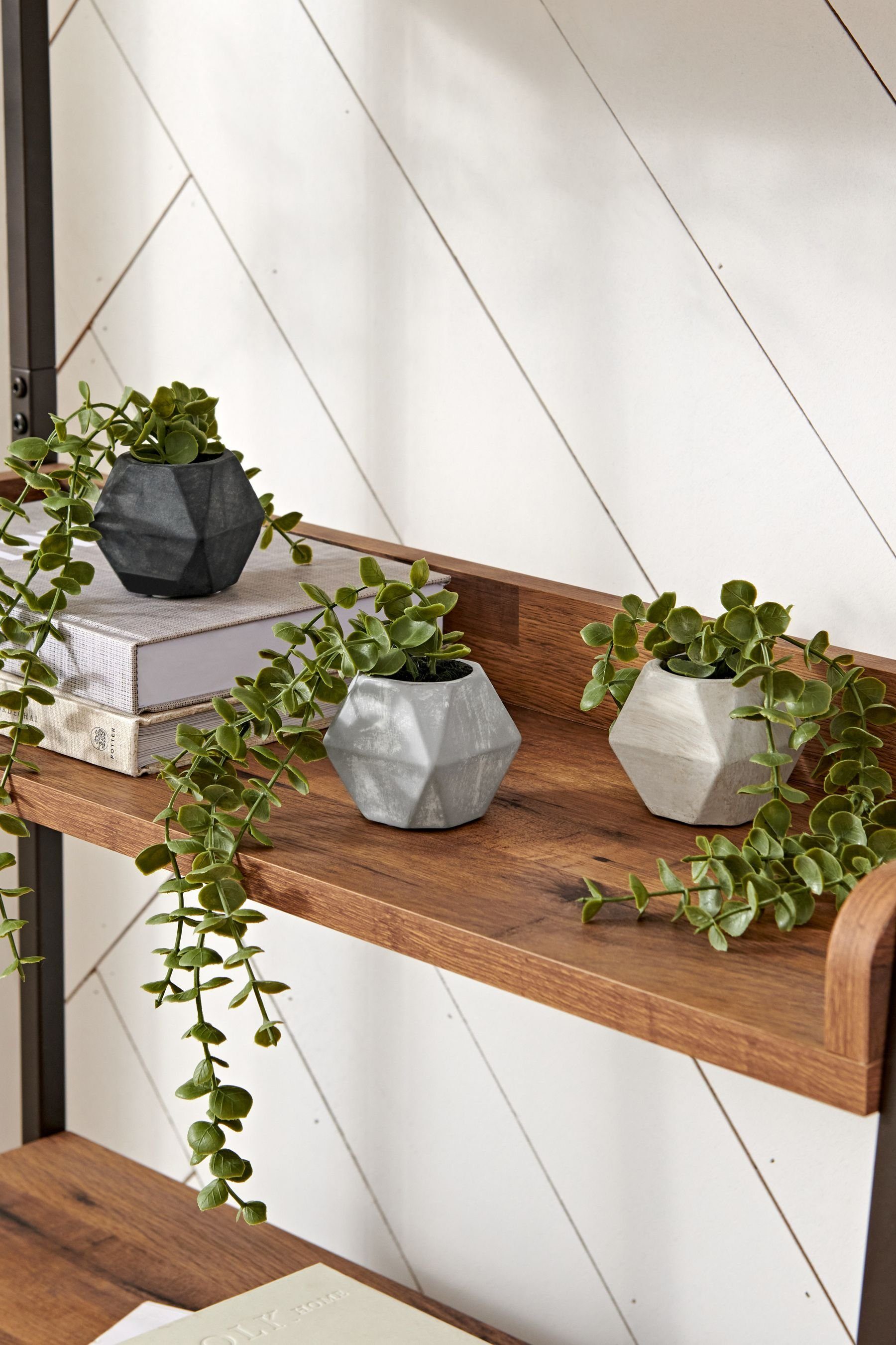 Künstliche Zimmerpflanze 3 Hängepflanzen aus im Kunststoff Next Betoneffekt-Topf