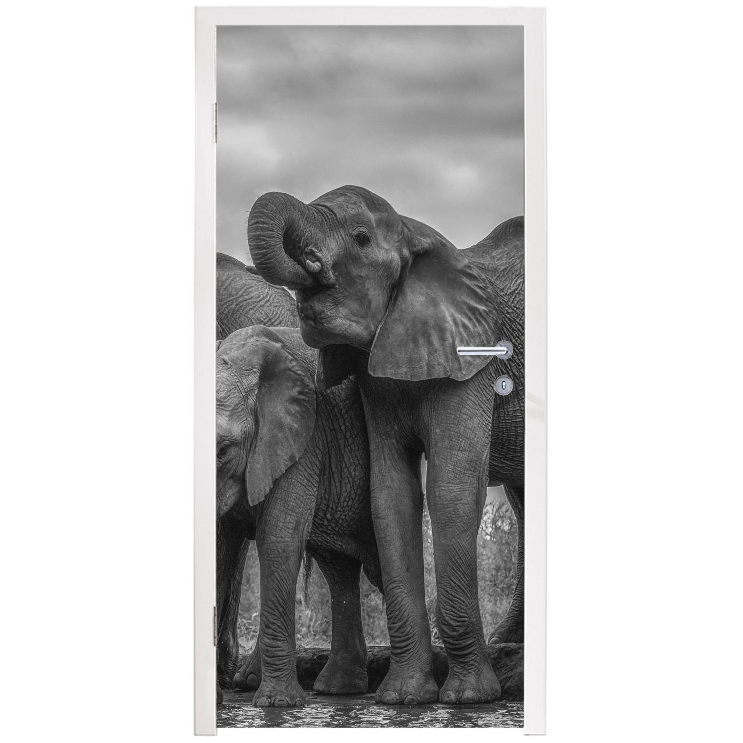 75x205 Schwarz - Türtapete (1 Türaufkleber, - Tiere Fototapete Wasser weiß, Elefant bedruckt, für und St), - cm MuchoWow Tür, Matt,