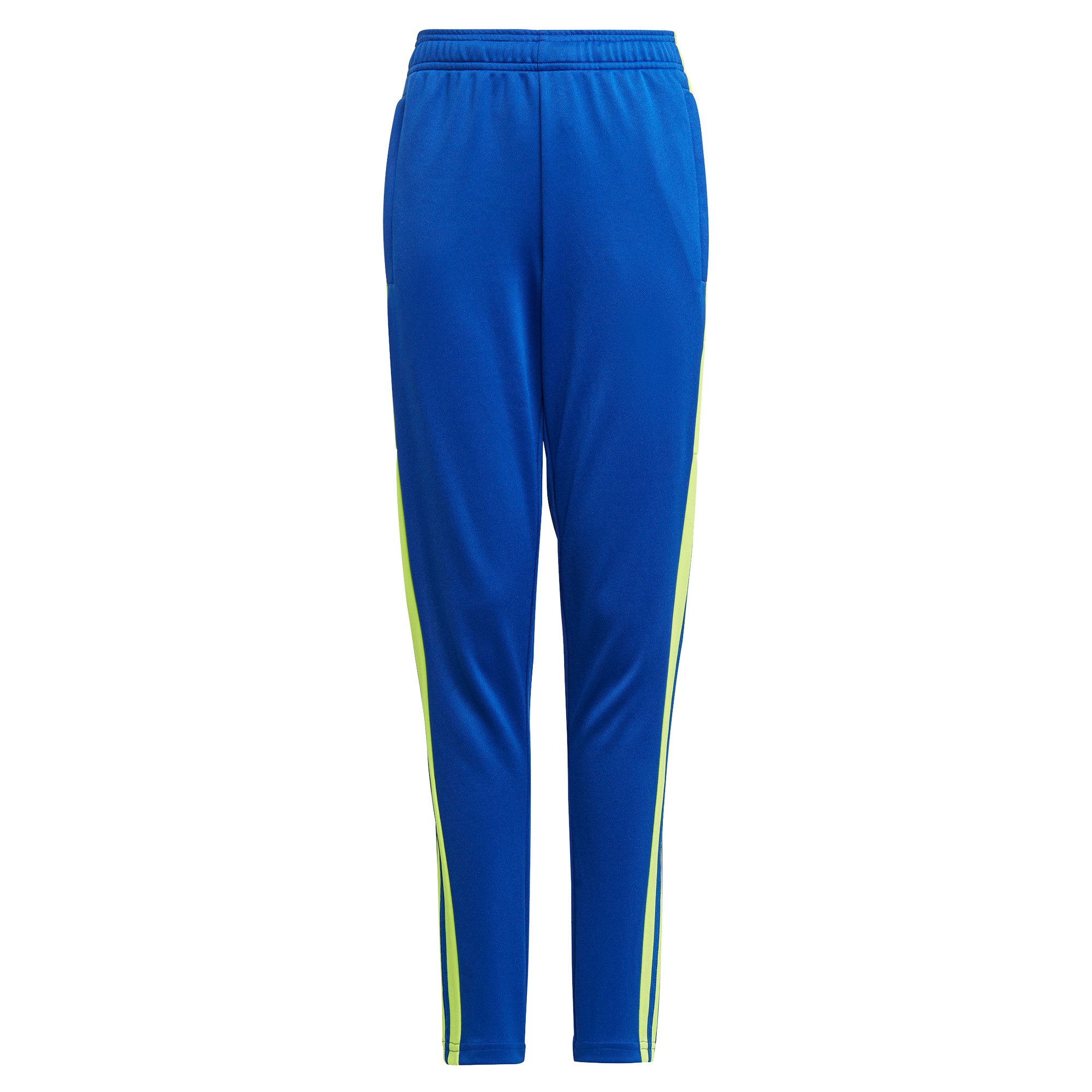 Team Royal Blue/Team Solar Yellow