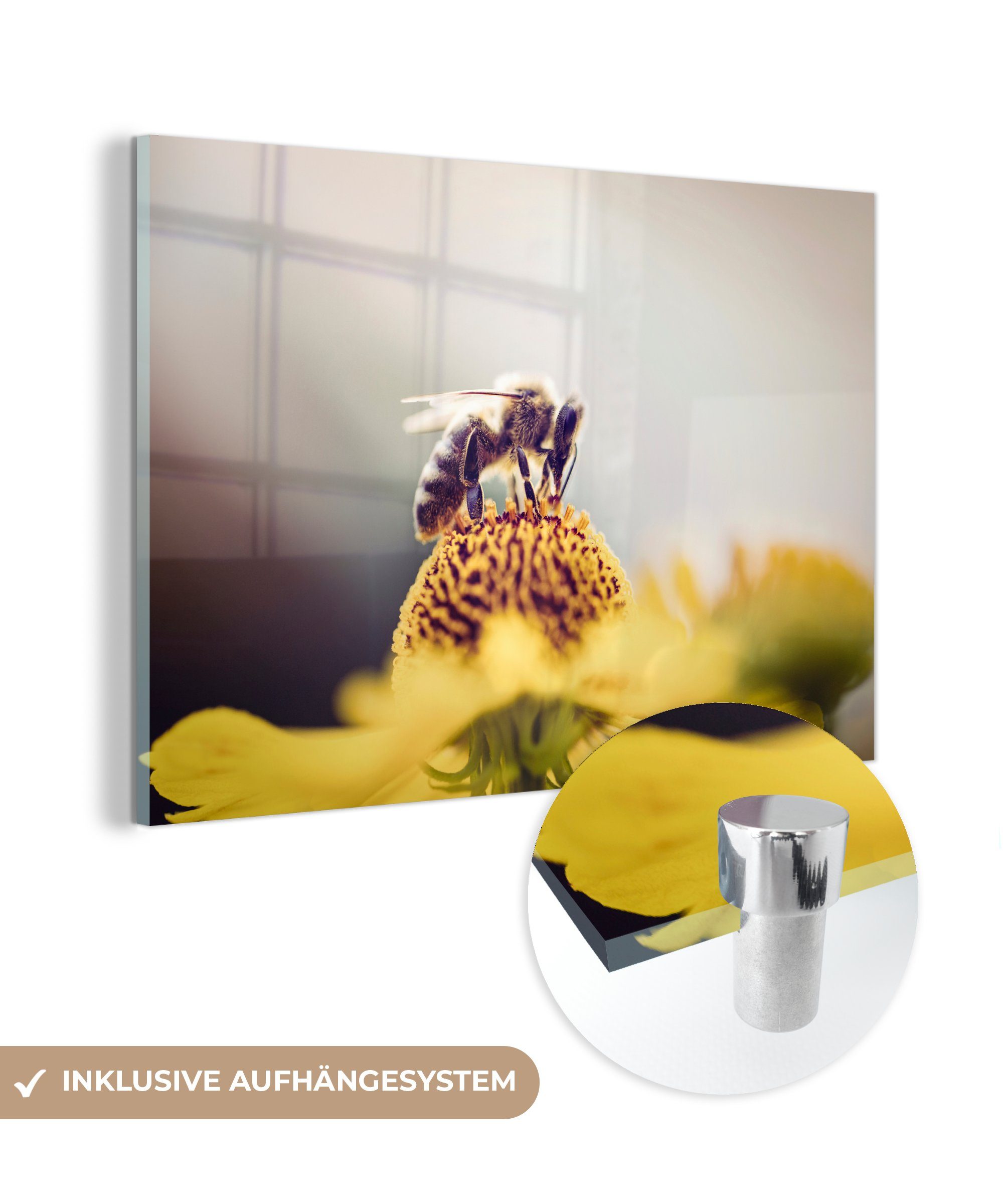 MuchoWow Acrylglasbild Biene auf einer gelben Blume, (1 St), Acrylglasbilder Wohnzimmer & Schlafzimmer | Bilder