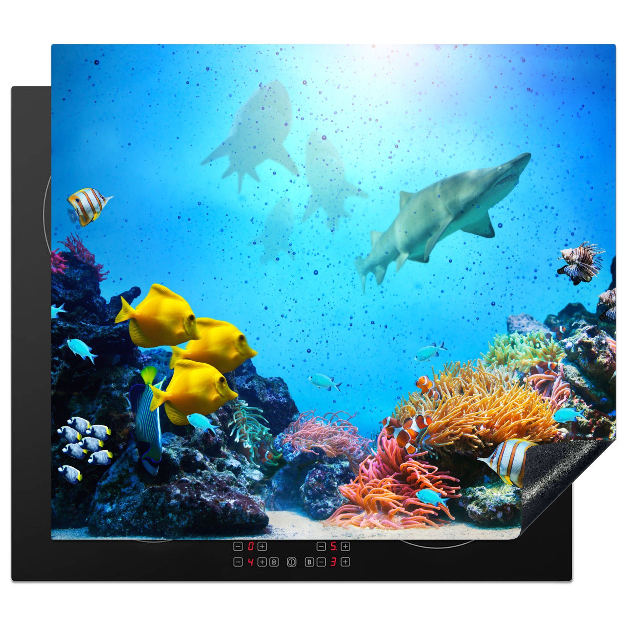 tlg), MuchoWow die küche, (1 cm, Herdblende-/Abdeckplatte - Ceranfeldabdeckung 59x52 Meer Farben, - für Fische Vinyl, Induktionsmatte