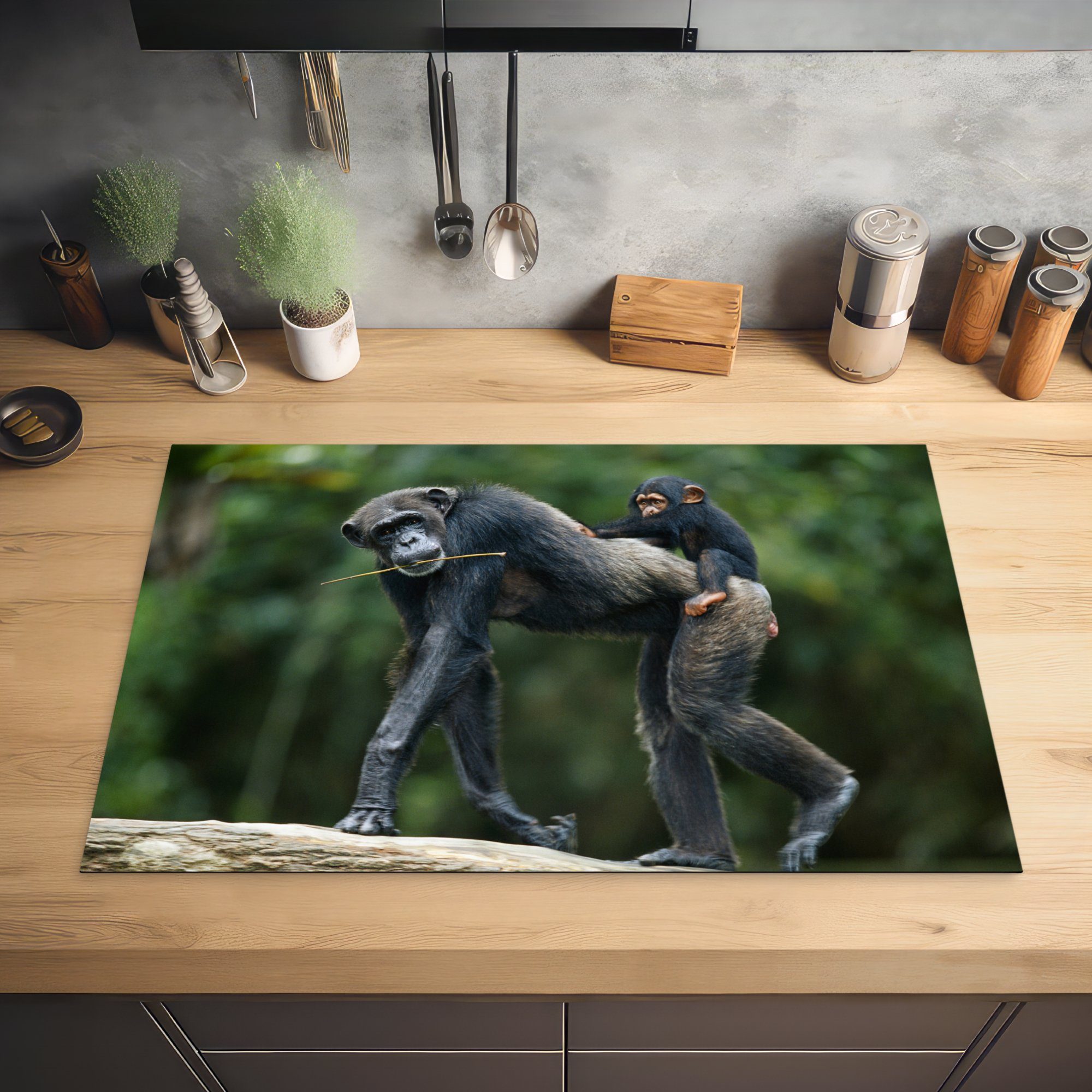 MuchoWow die Schimpanse 81x52 Schutz seinem Vinyl, cm, Ceranfeldabdeckung tlg), Jungen mit küche, Rücken, Herdblende-/Abdeckplatte auf Induktionskochfeld für (1