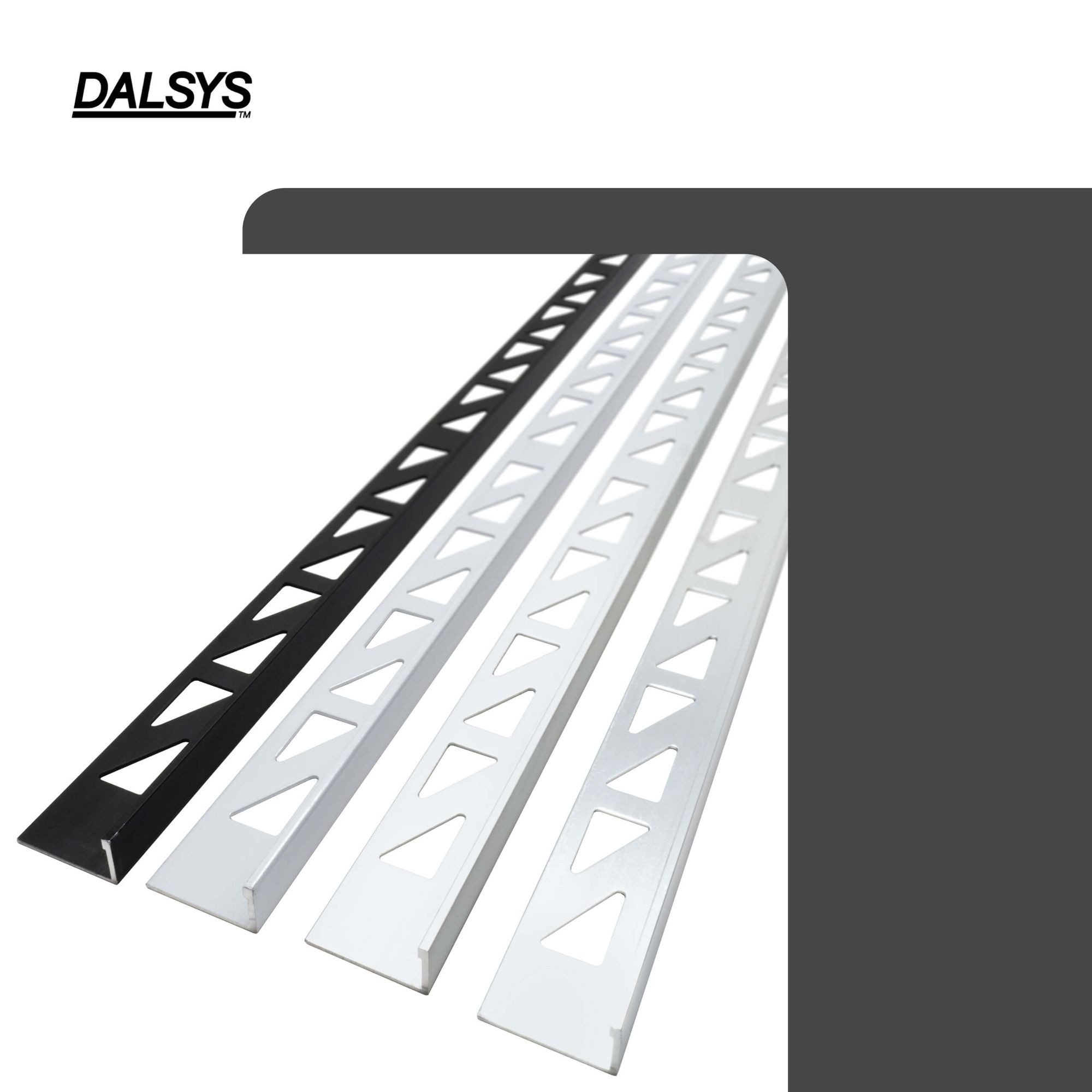 Dalsys Profil Fliesenschiene Winkelprofil Aluminium (eloxiert) Schwarz 2m x 10mm), Fliesenprofil