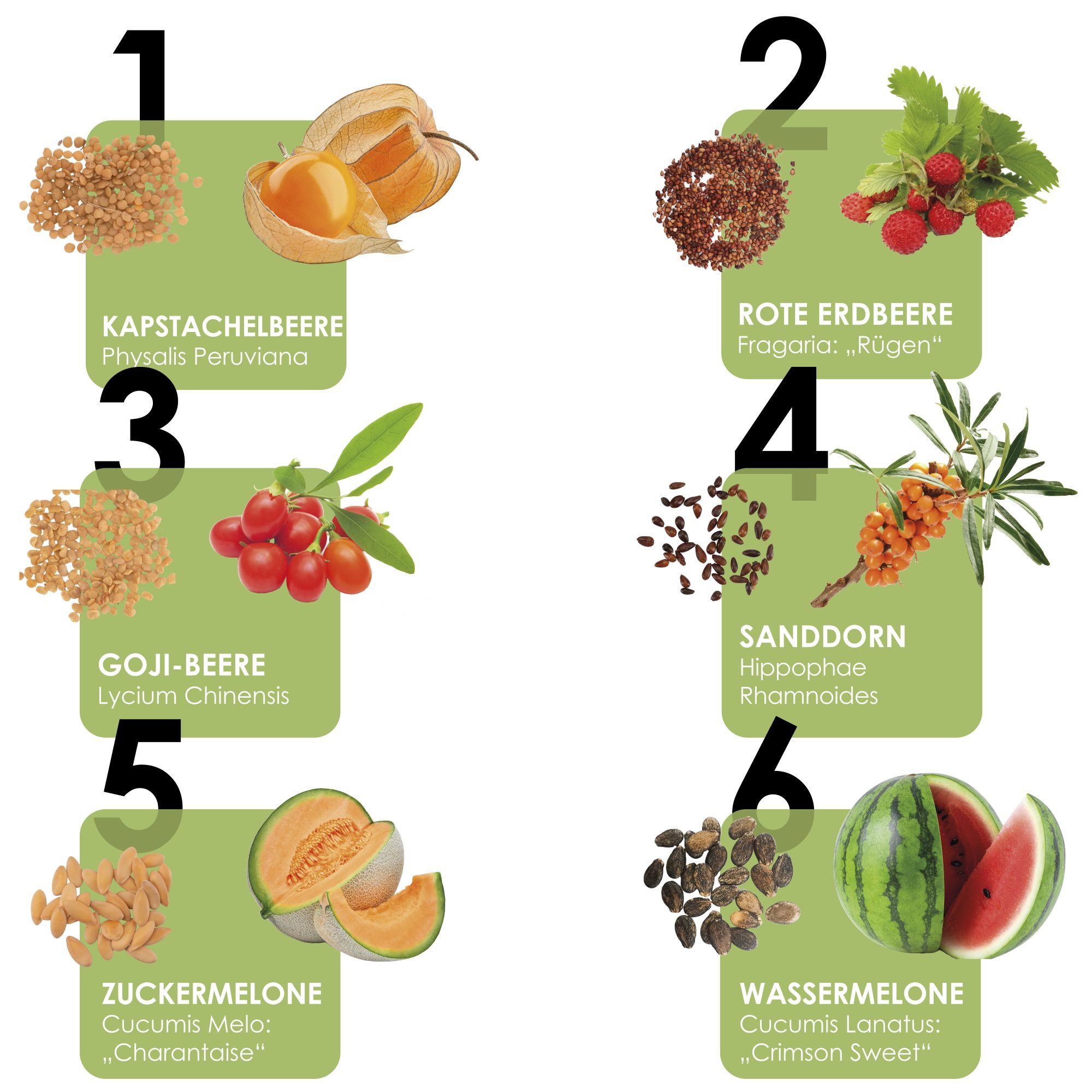 HappySeed Blumensamen Obst Samen Set mit 6 exotischen Sorten für deinen eig günstig online kaufen