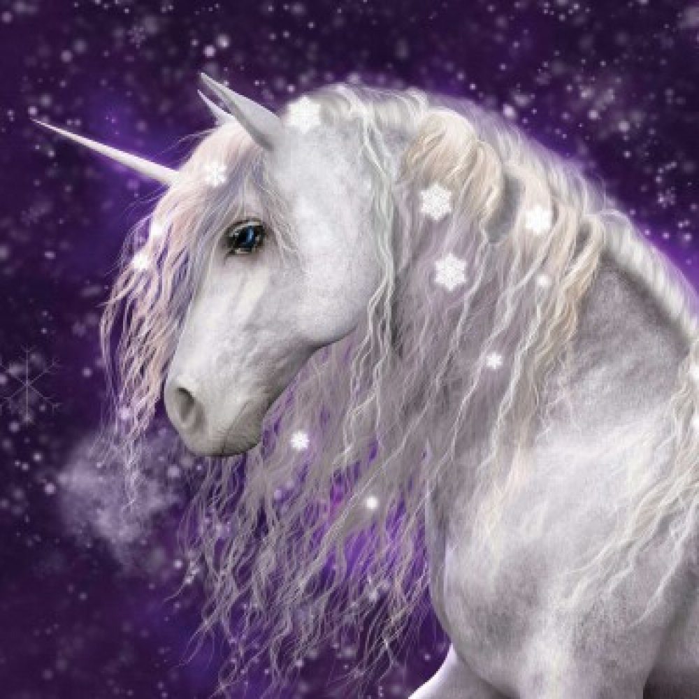 einhorn Kissenbezug Einhorn Kissenbezug Maße ca.: 40 x 40 cm, (1 Stück)