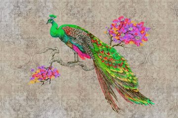 A.S. Création Leinwandbild peacock, Tiere (1 St), Keilrahmen Bild Bunt Pfau