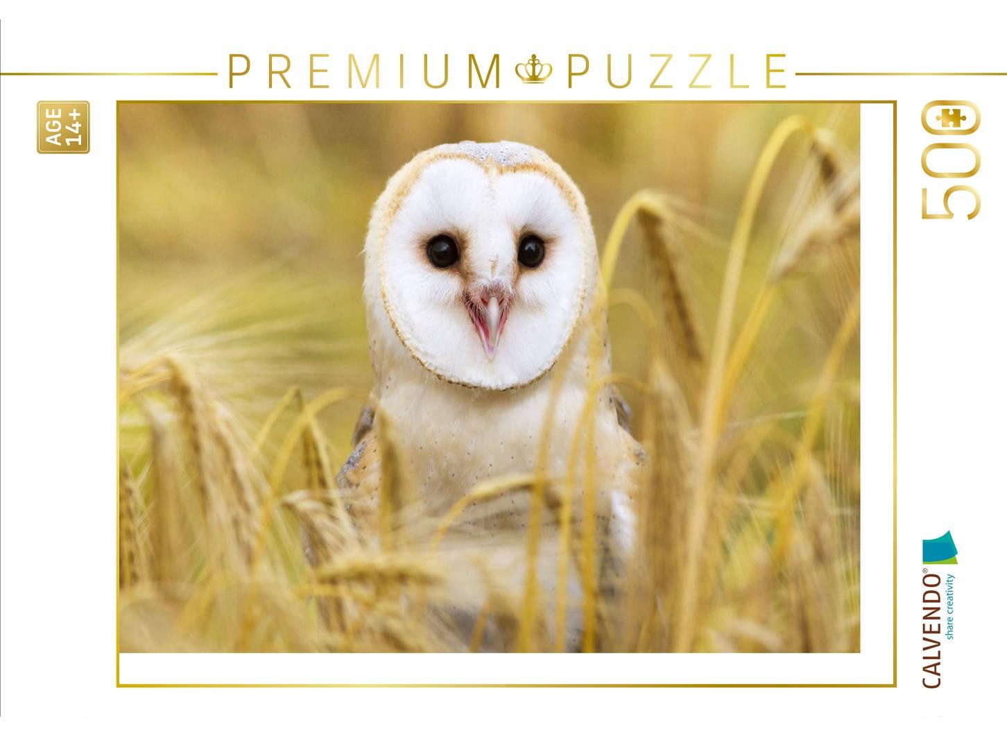 CALVENDO Puzzle CALVENDO Puzzle Eulen: Schleiereule in einem Feld auf Mäusejagd., 500, 1000 Puzzleteile