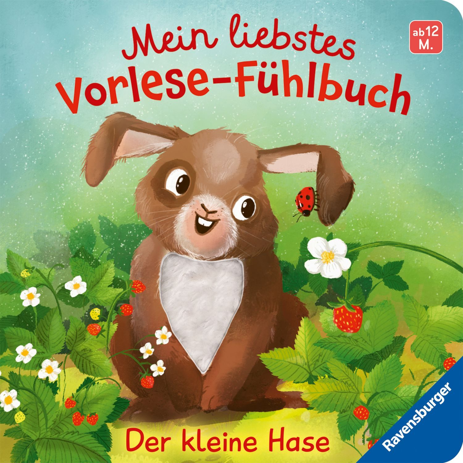Mein liebstes Vorlese-Fühlbuch - Der kleine Hase / Maria Höck, X