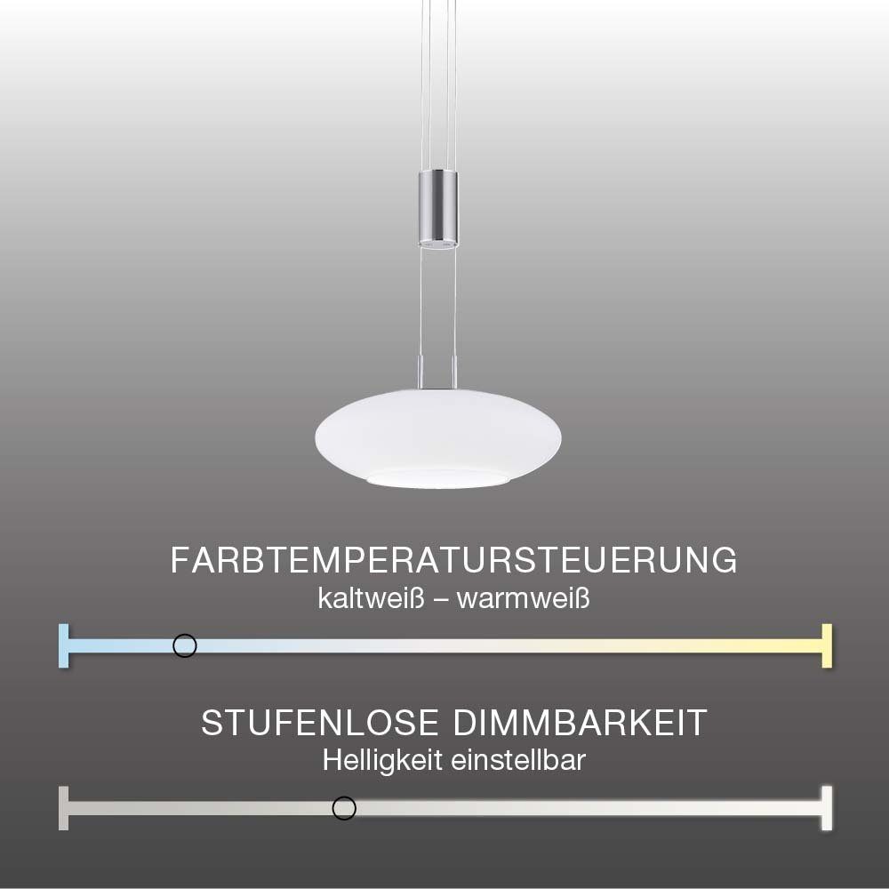 mit silber Q Home, CCT-Farbtemperaturregelung, höhenverstellbar dimmbar Neuhaus Smarte Fernbedienung Leuchtmittel, CCT RGB-Farbwechsel, ETIENNE Paul Home, Memoryfunktion, Smart Pendel Dimmfunktion, Smart Pendellampe LED-Leuchte LED