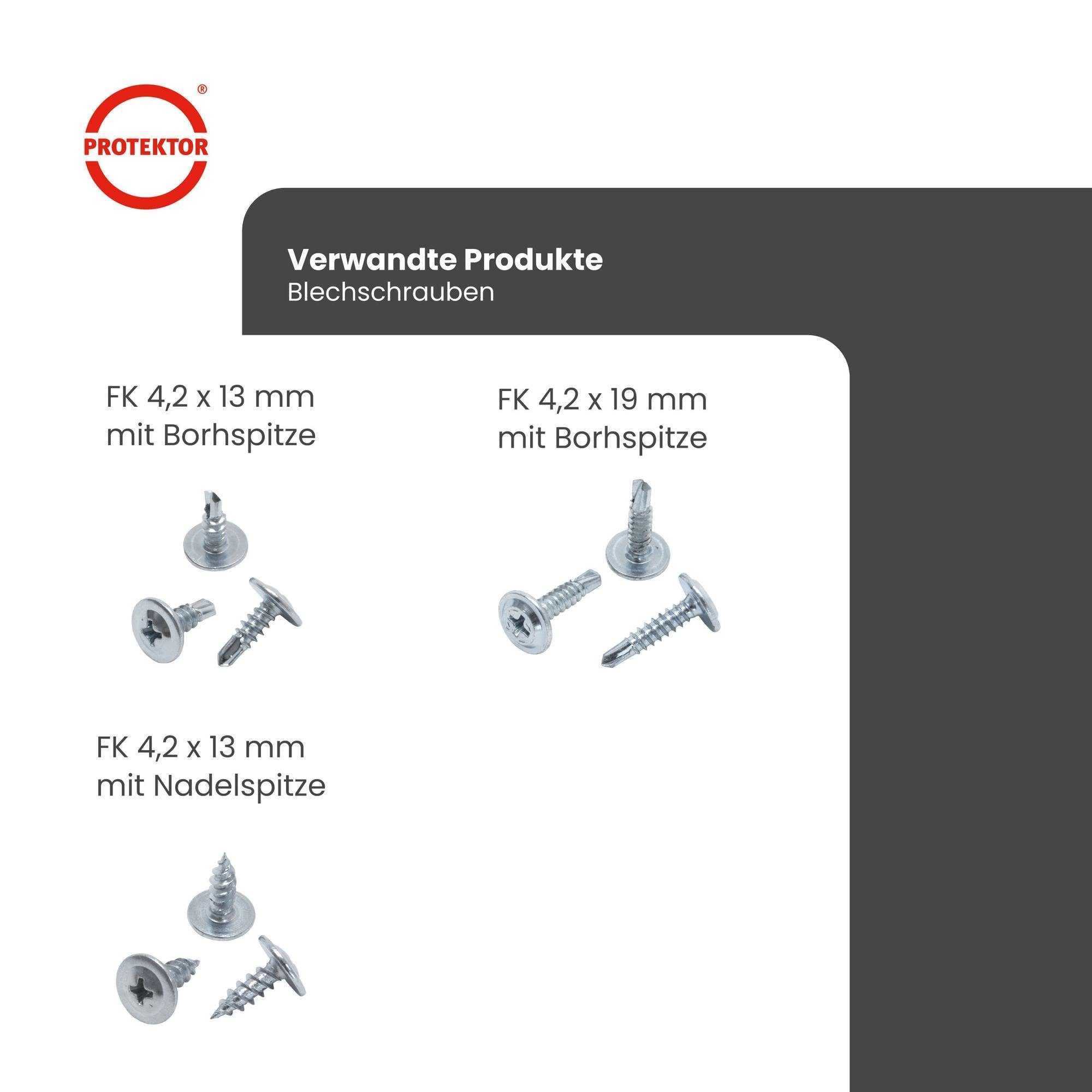 PROTEKTOR Schraube Blechschrauben Flachkopf, (4,2 × 13 mm, 1000 Stück, 1000 St), Kreuzschlitz, Montage Deckenprofile, Made in Germany