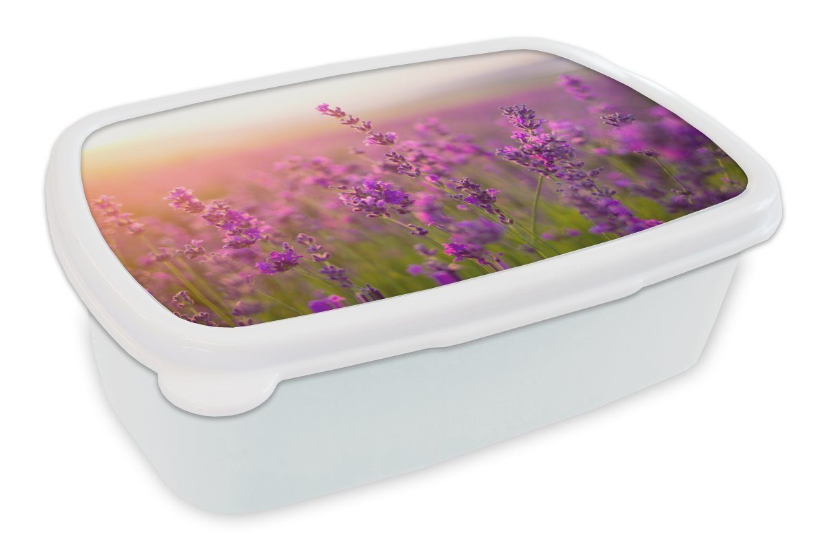 MuchoWow Lunchbox Lavendel - Frühling - Lila, Kunststoff, (2-tlg), Brotbox für Kinder und Erwachsene, Brotdose, für Jungs und Mädchen weiß