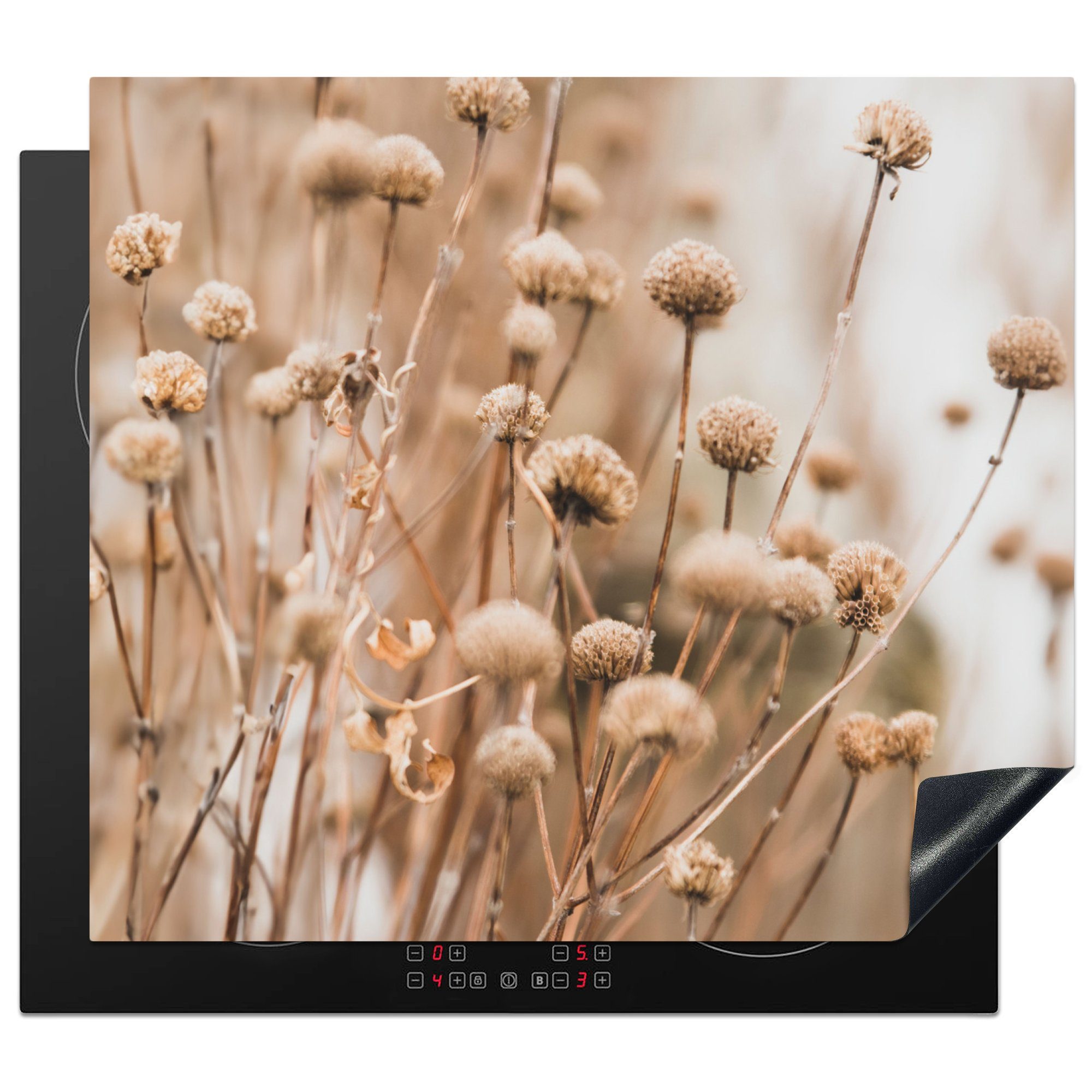 MuchoWow Herdblende-/Abdeckplatte Getrocknete Blumen - Beige - Natur, Vinyl, (1 tlg), 60x52 cm, Mobile Arbeitsfläche nutzbar, Ceranfeldabdeckung